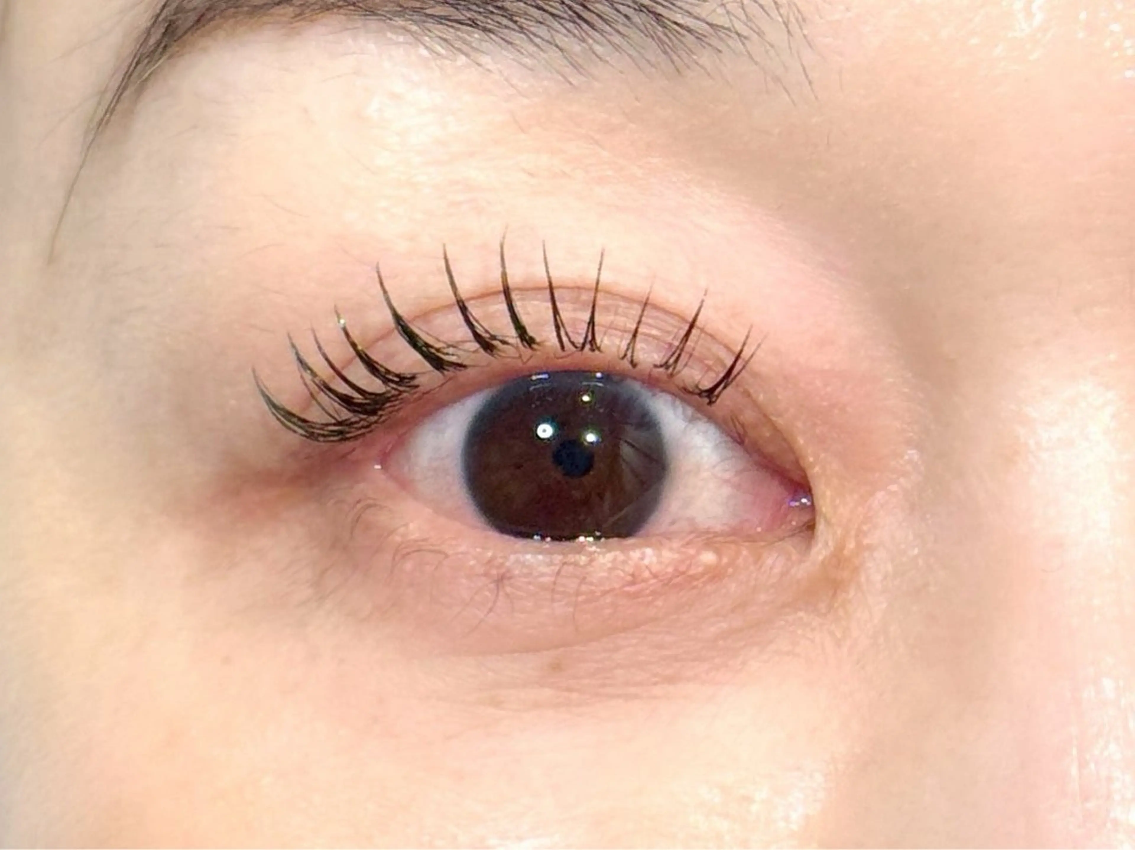 マツエク・マツパ フラットラッシュ ナチュラル マツエク Re＋ misakiの眉毛・アイブロウイメージ