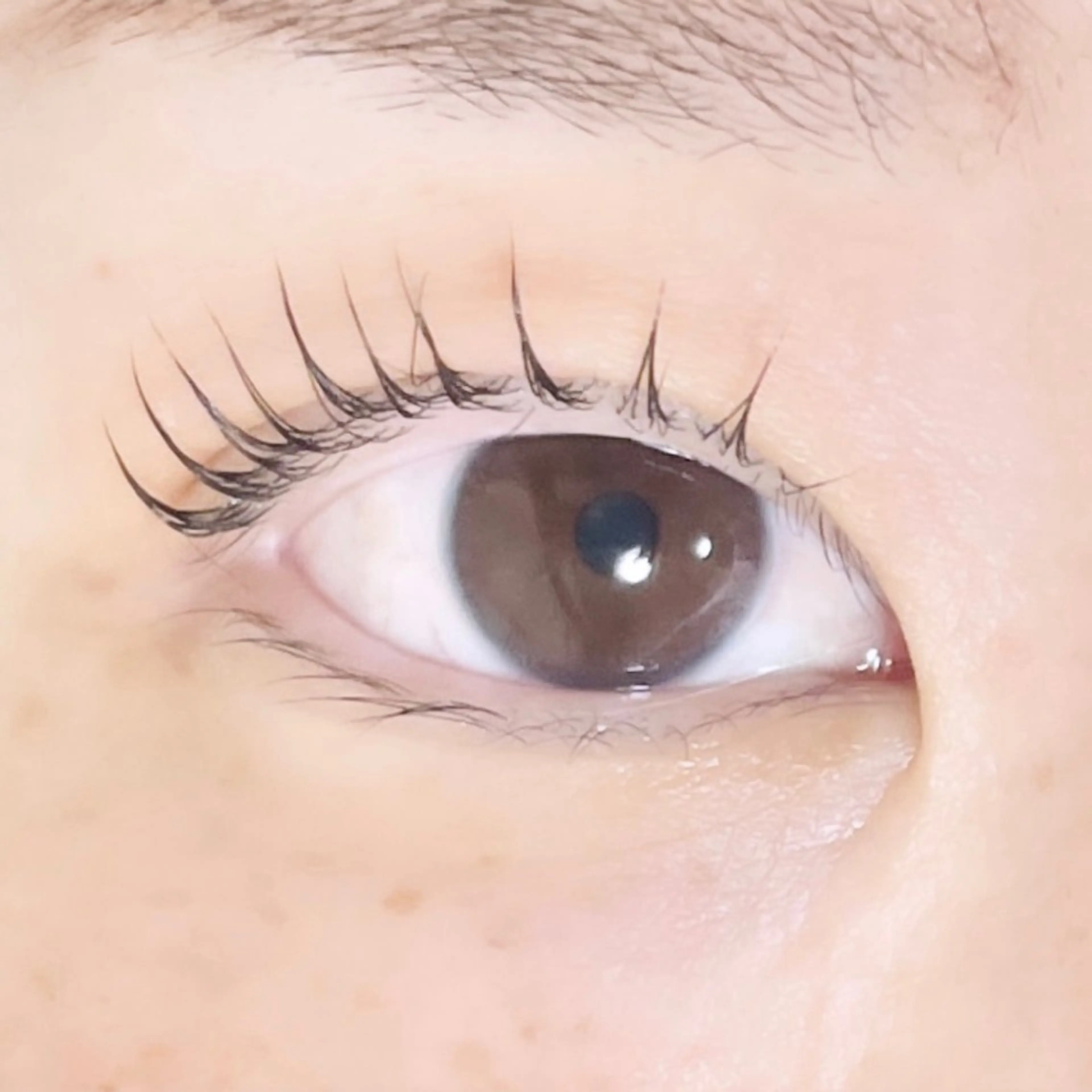 マツエク・マツパ TAKEO🖤 マリーテレジア藤が丘のマツエク・マツパデザイン