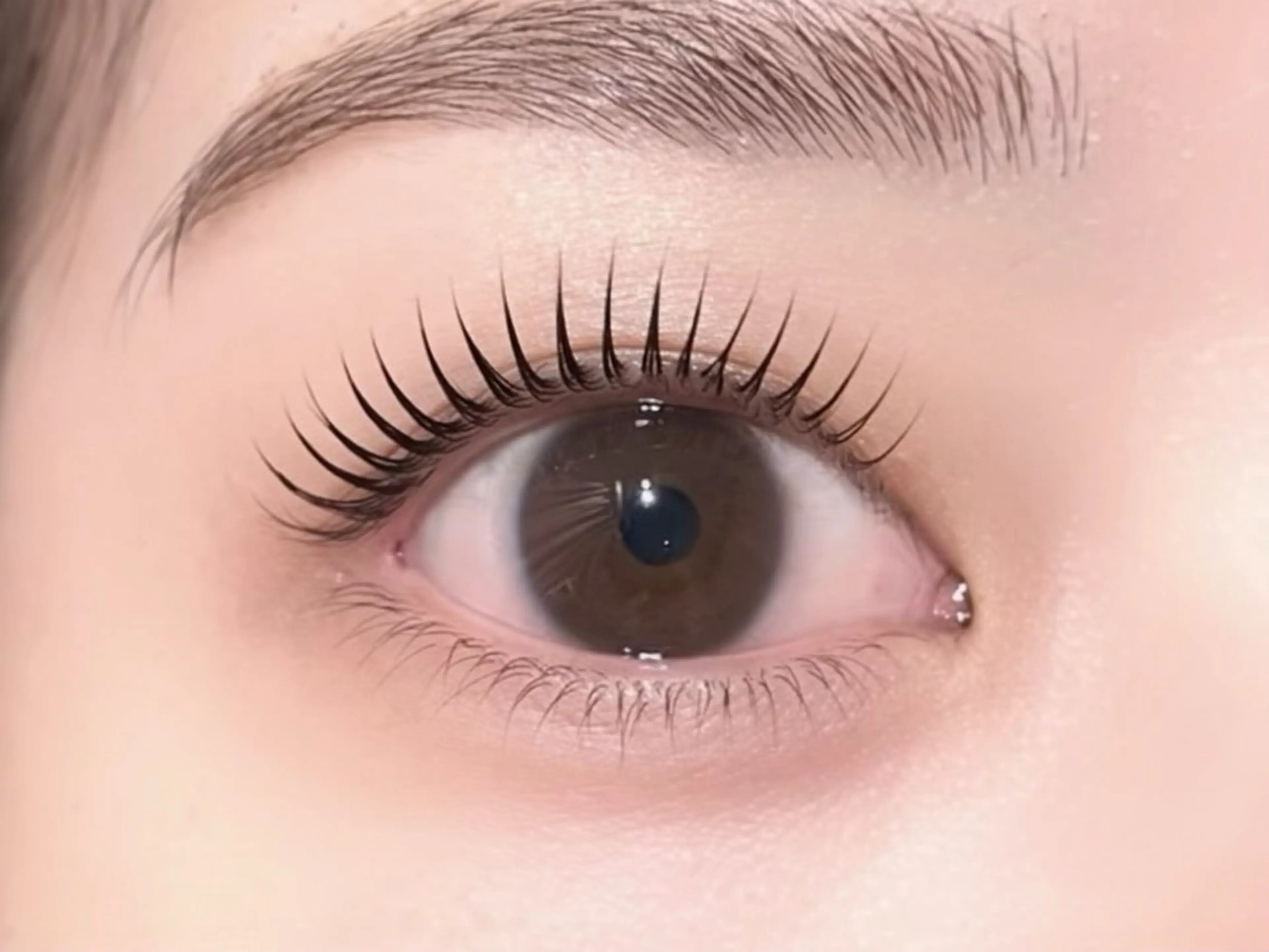 マツエク・マツパ パリジェンヌラッシュリフト マツパ FOXYLASH難波 sasakiのマツエク・マツパデザイン