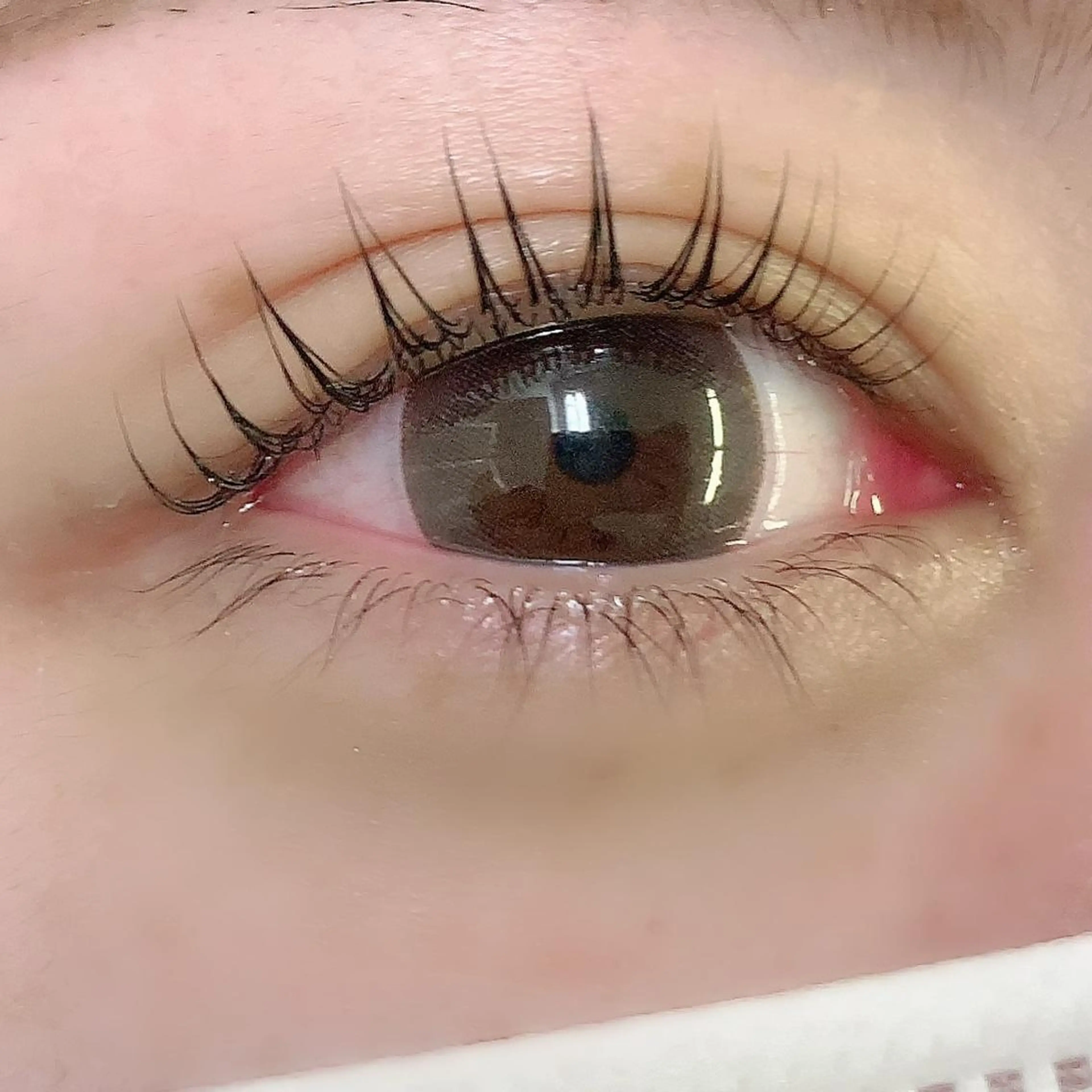 マツエク・マツパ SecretBelle所属・ジラフブロウ YUのマツエク・マツパデザイン