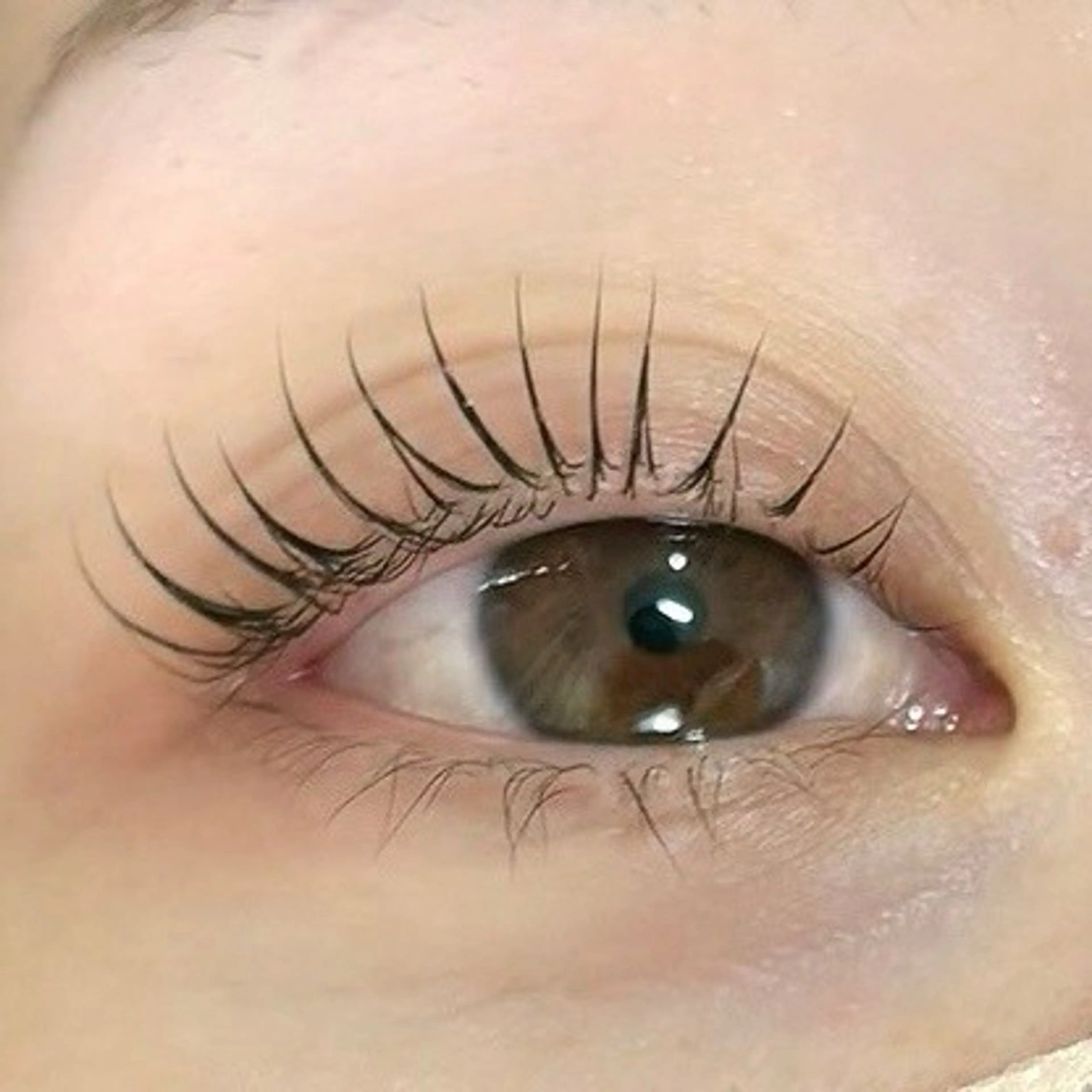 マツエク・マツパ mon. eyelash eyebrow所属・mon. Matsuiのマツエク・マツパデザイン