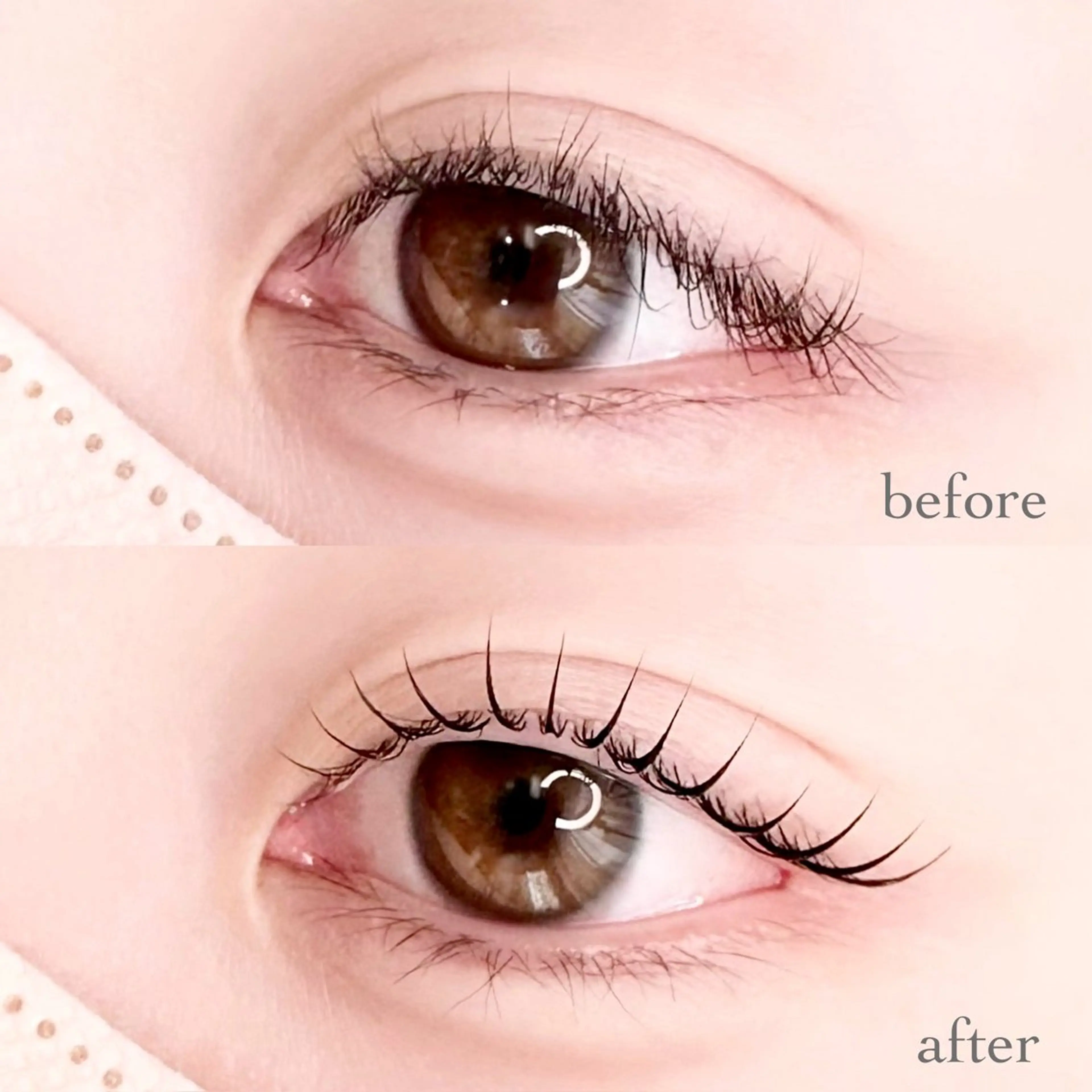 マツエク・マツパ マツパ M.Kayama 【2/1〜産休】のマツエク・マツパデザイン