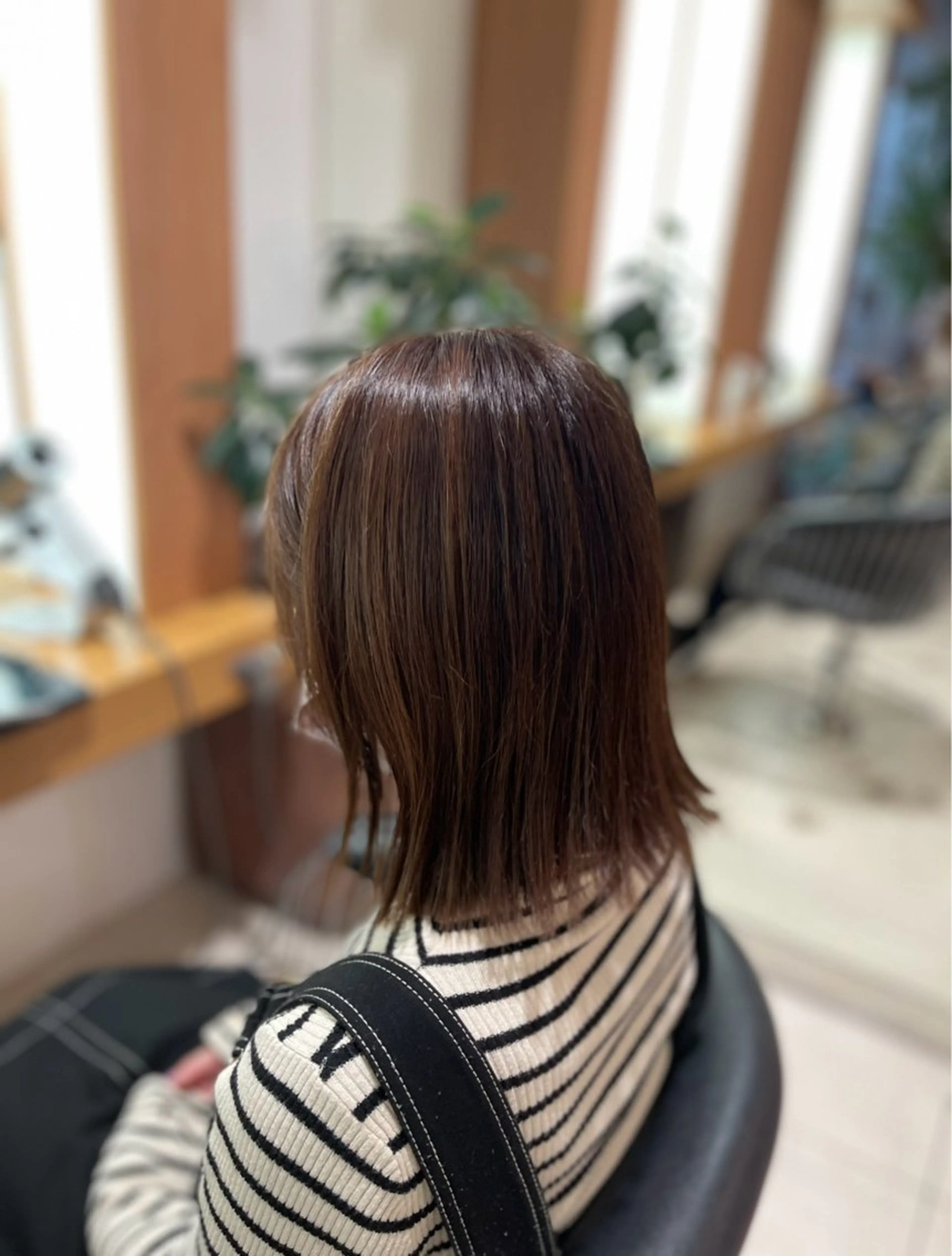 ワンカラー、フルカラー(SB込)の写真