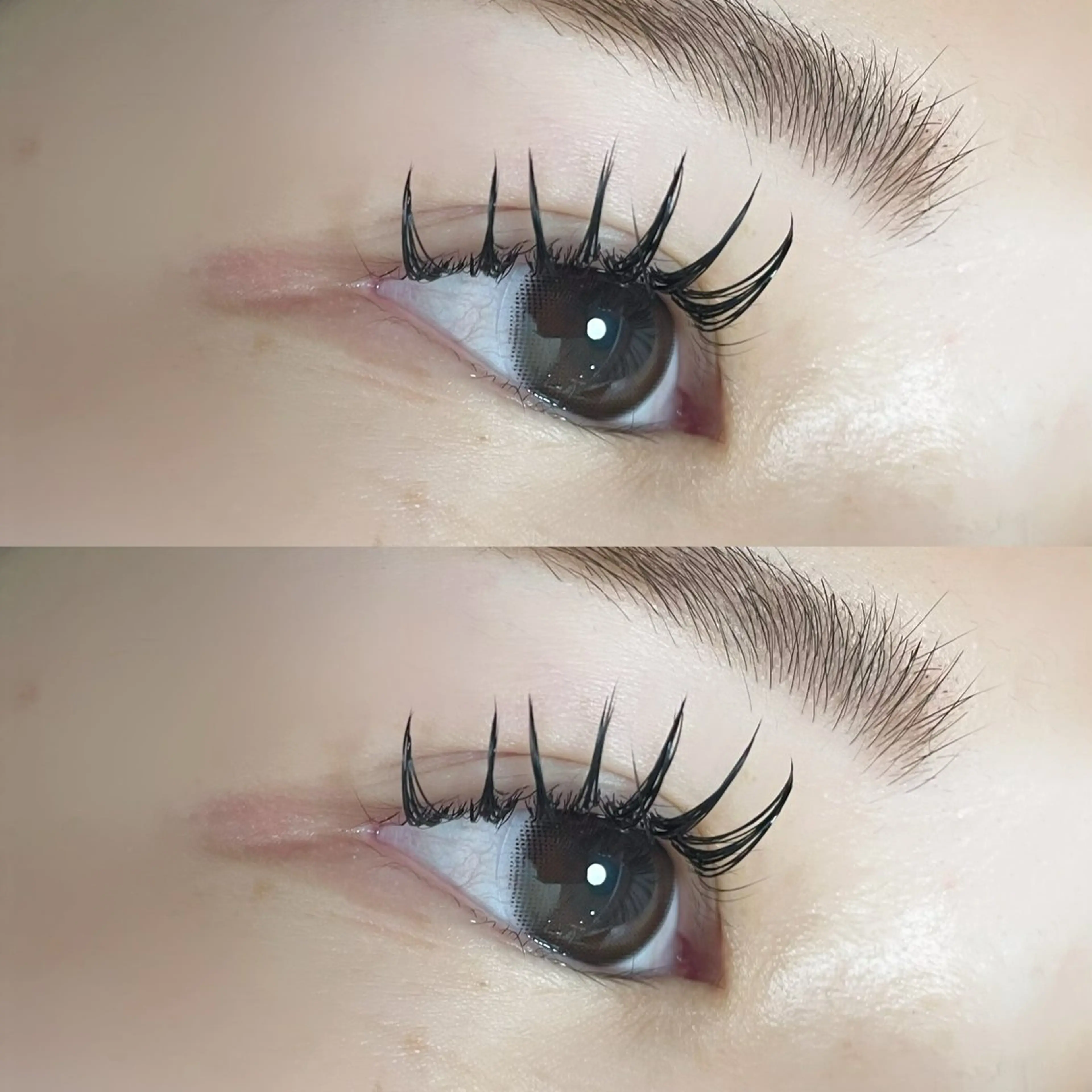 マツエク・マツパ マツエク Ayumi.dre 🌸Y《2階》のマツエク・マツパデザイン