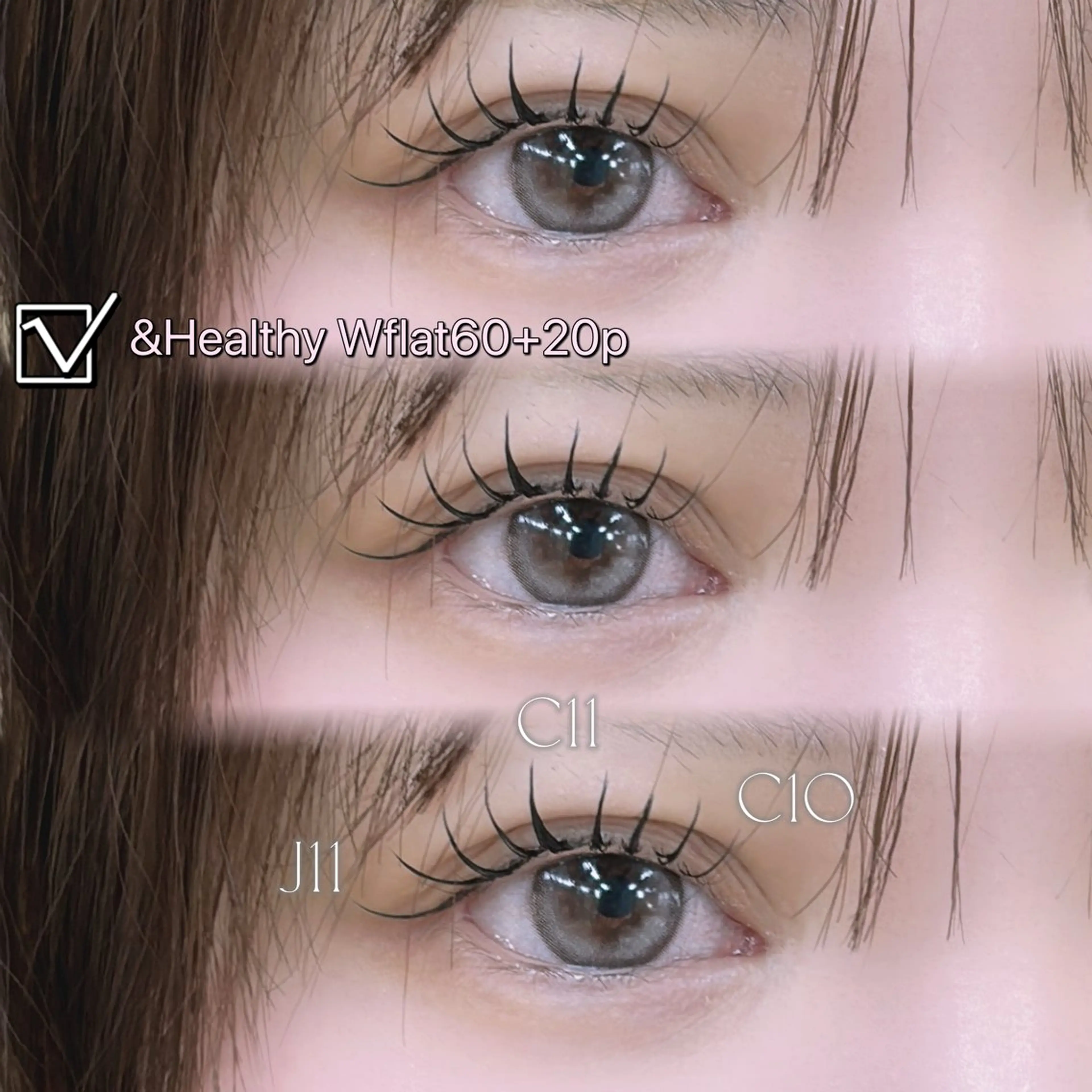 ãããšã¯ã»ããã ãããšã¯ ððªðŠðð éåœé¢š/ææ/æµæ¯å¯¿ã®ãããšã¯ã»ããããã¶ã€ã³