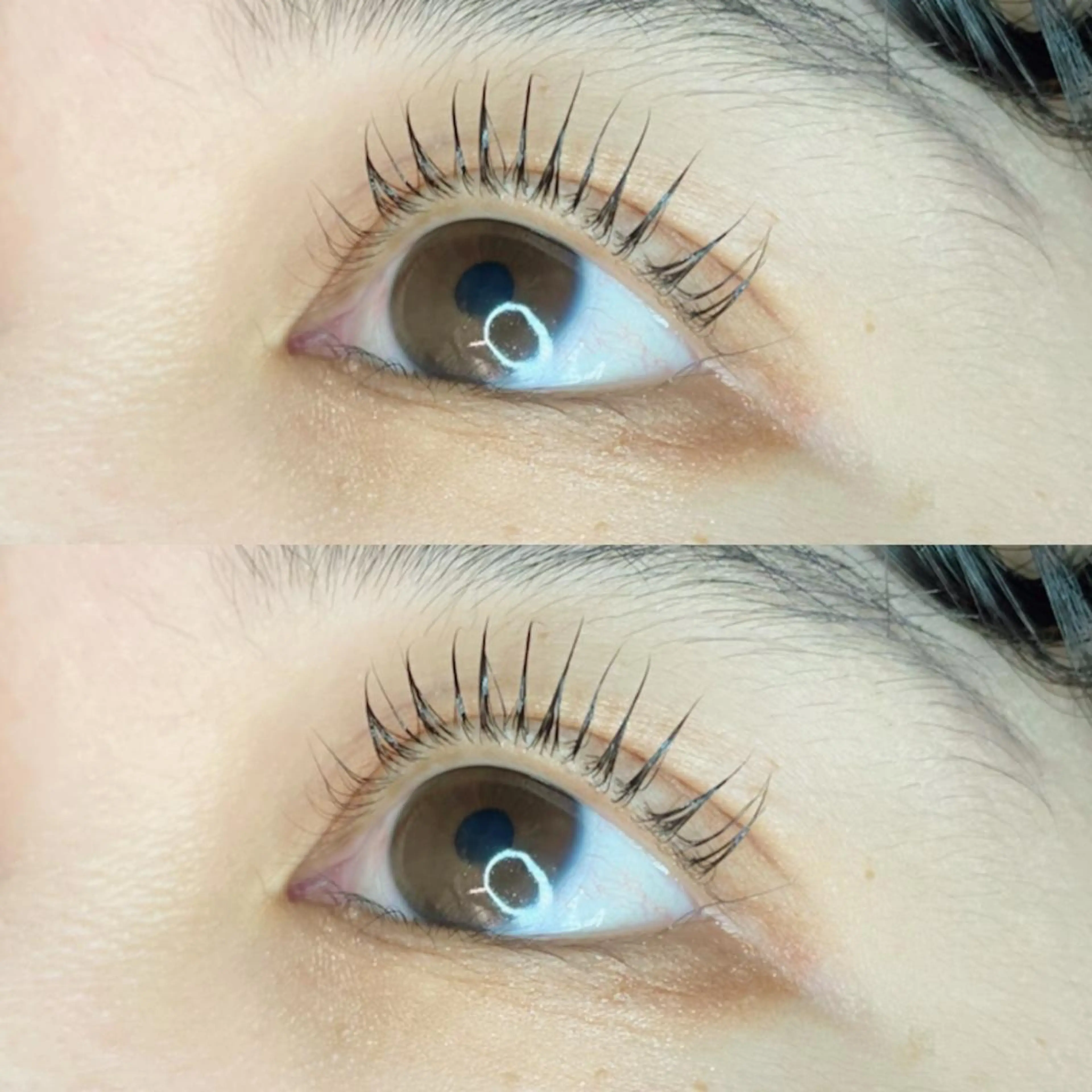 マツエク・マツパ Favori 川上のマツエク・マツパデザイン