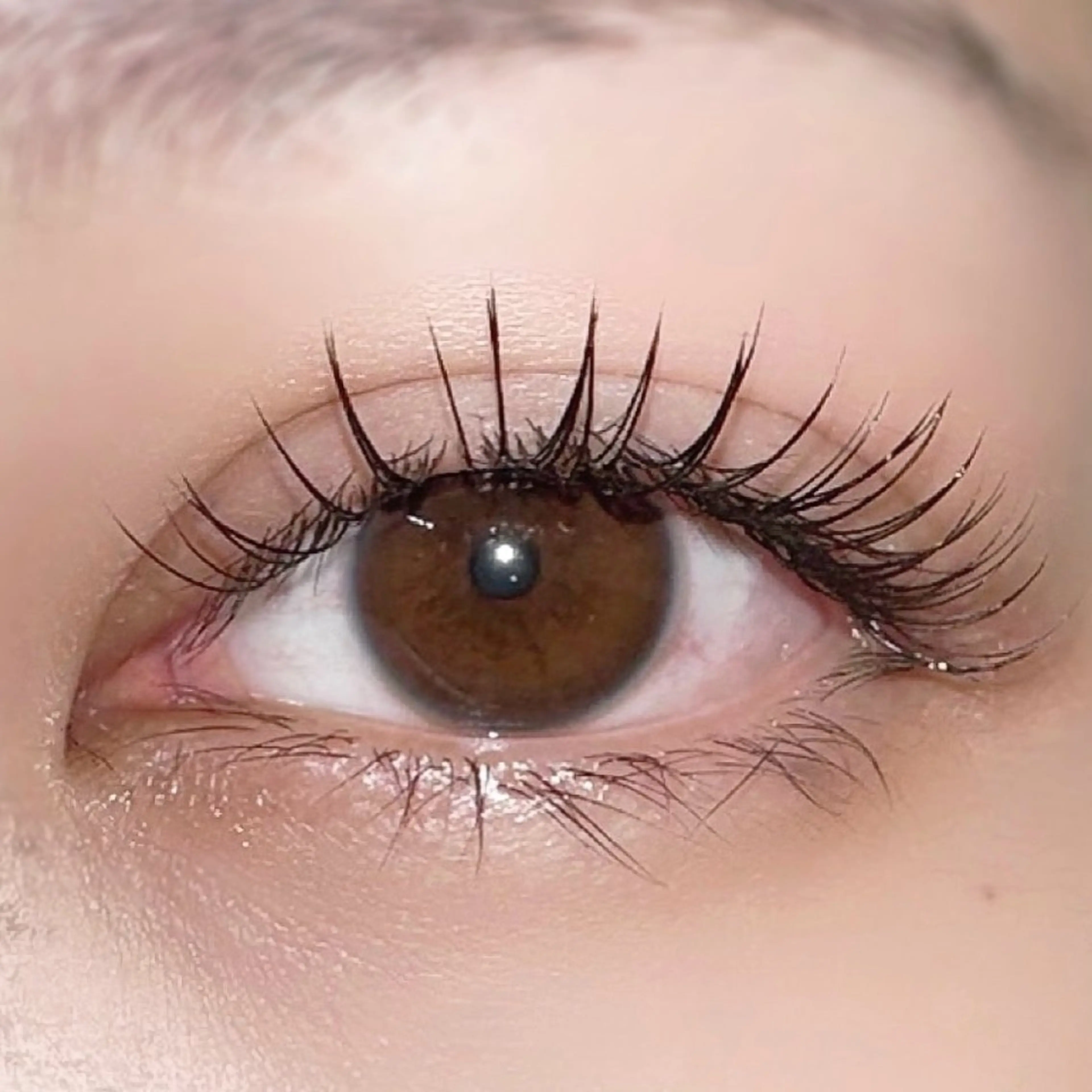 マツエク・マツパ フラットラッシュ マツエク専門店 cyunaのマツエク・マツパデザイン