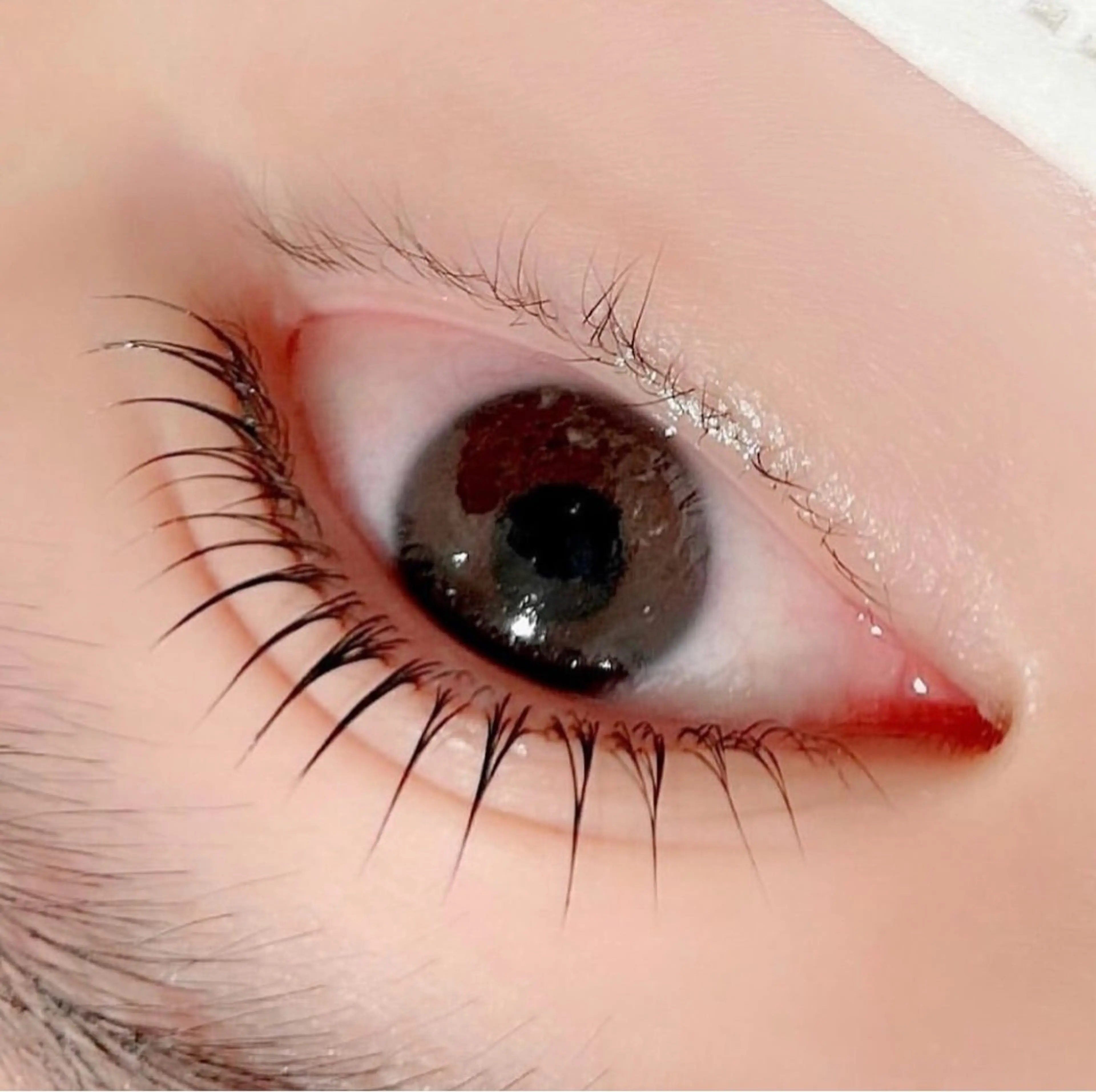 マツエク・マツパ マツパ 京橋/束感まつ毛& LED🦋藤本加奈のマツエク・マツパデザイン