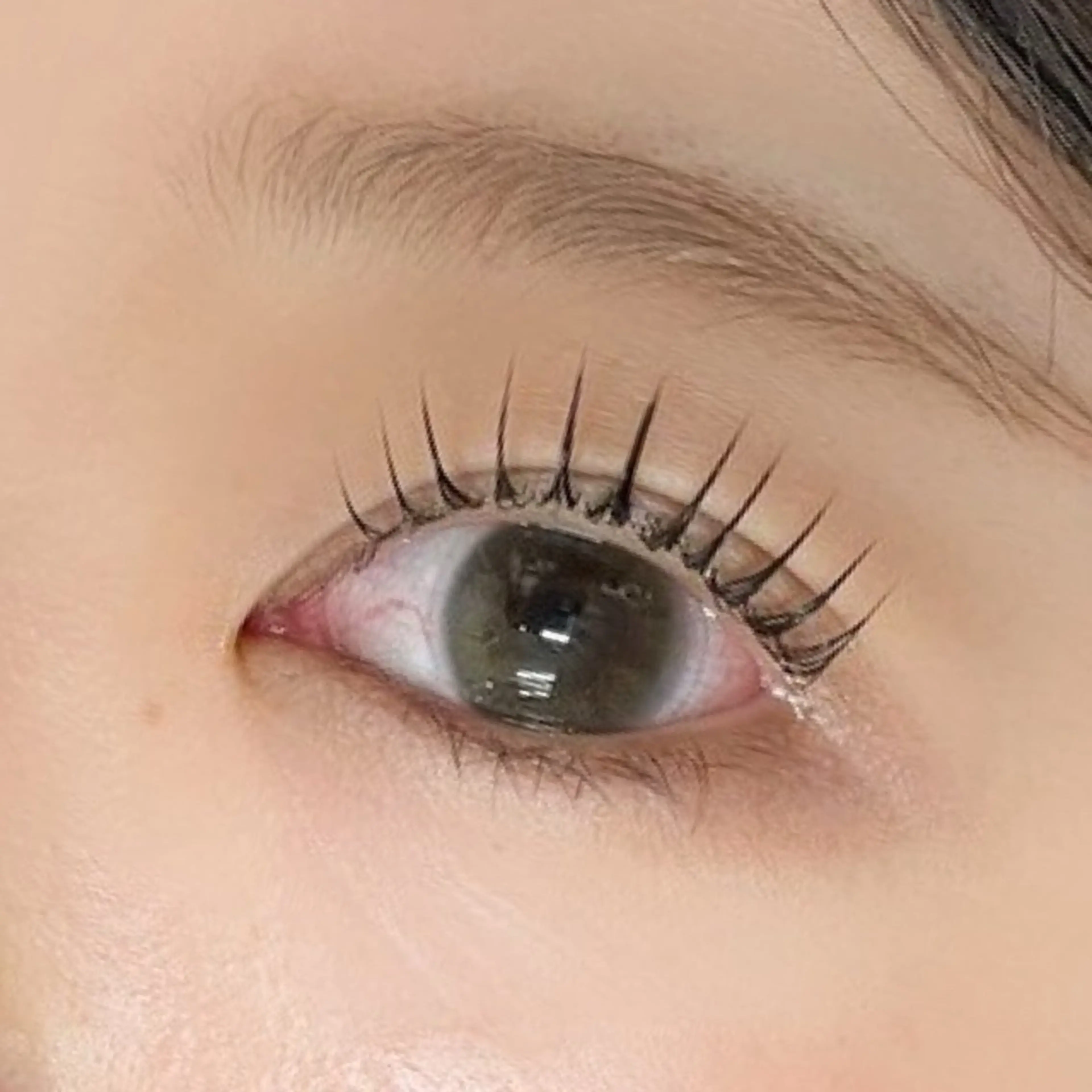 マツエク・マツパ ジュエル.《まつげ》 モデル様募集中のマツエク・マツパデザイン