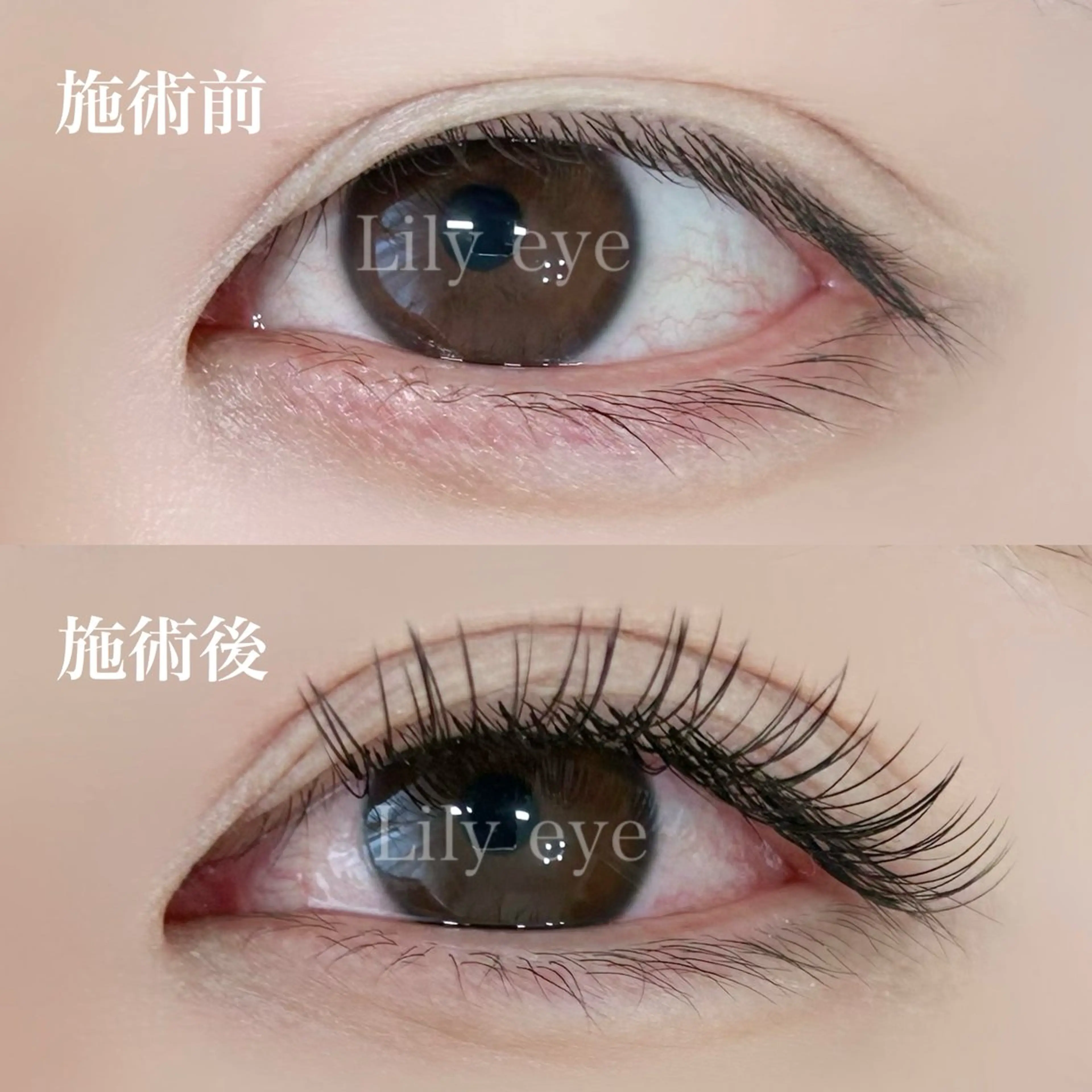 マツエク まつ毛専門店 Lily eyeのマツエク・マツパデザイン