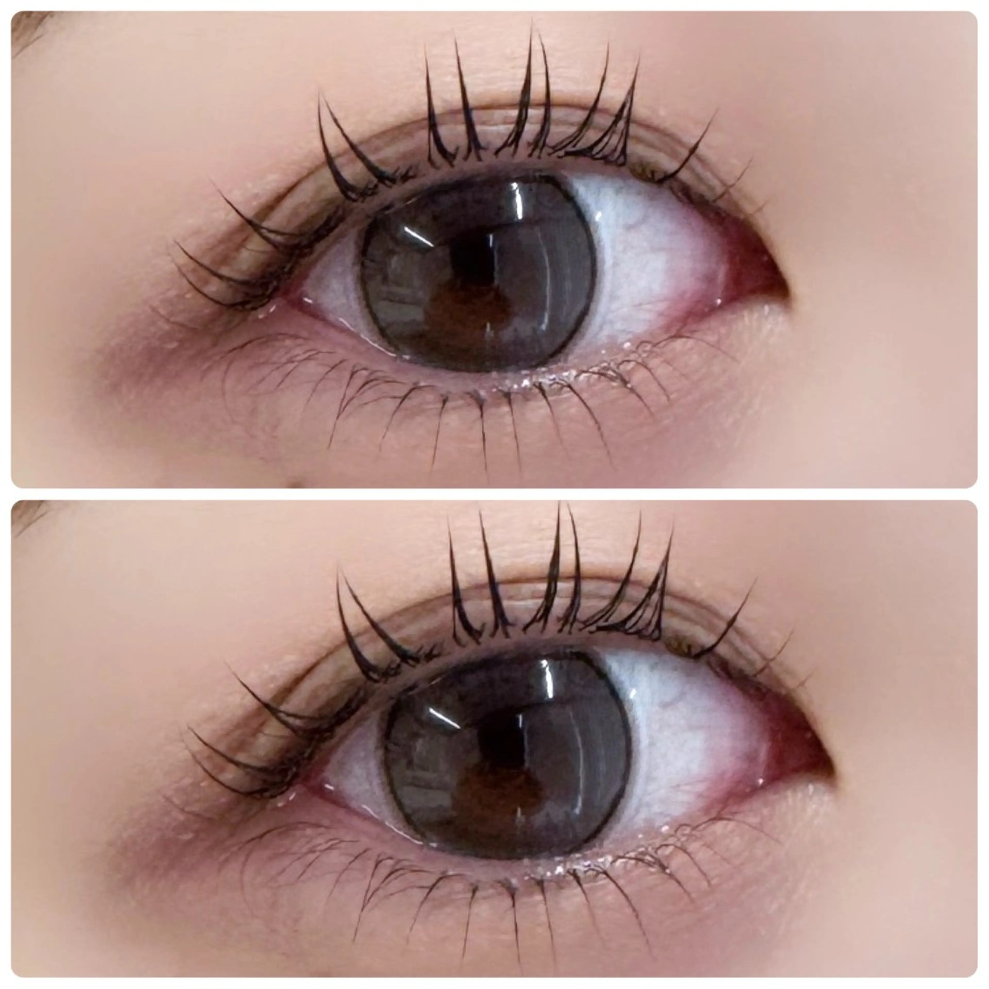 マツエク・マツパ 𓇼shiho𓇼 .のマツエク・マツパデザイン