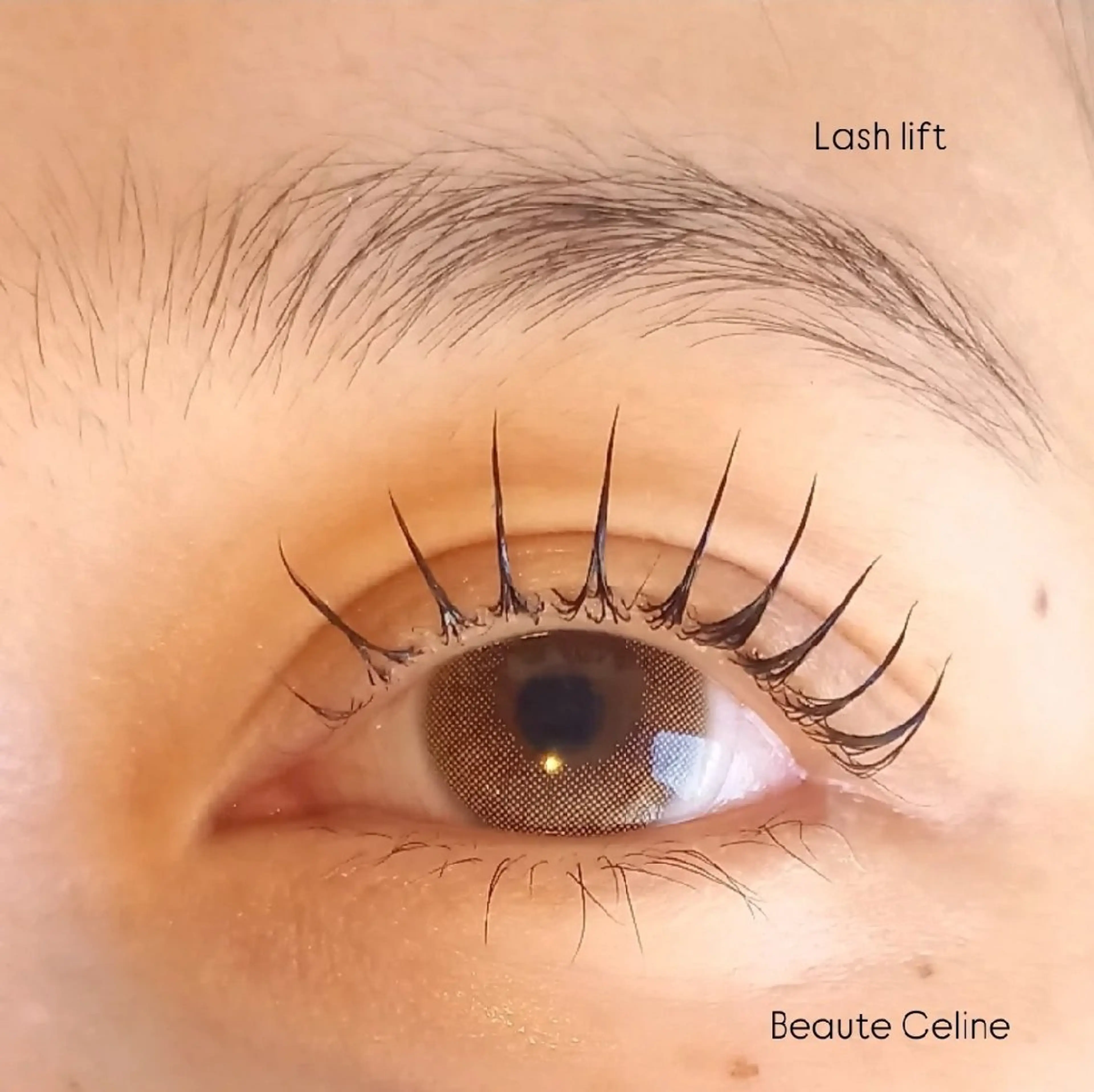 マツエク・マツパ マツパ beaute.celine所属・8時～✨beaute Celine🌛🌹のマツエク・マツパデザイン