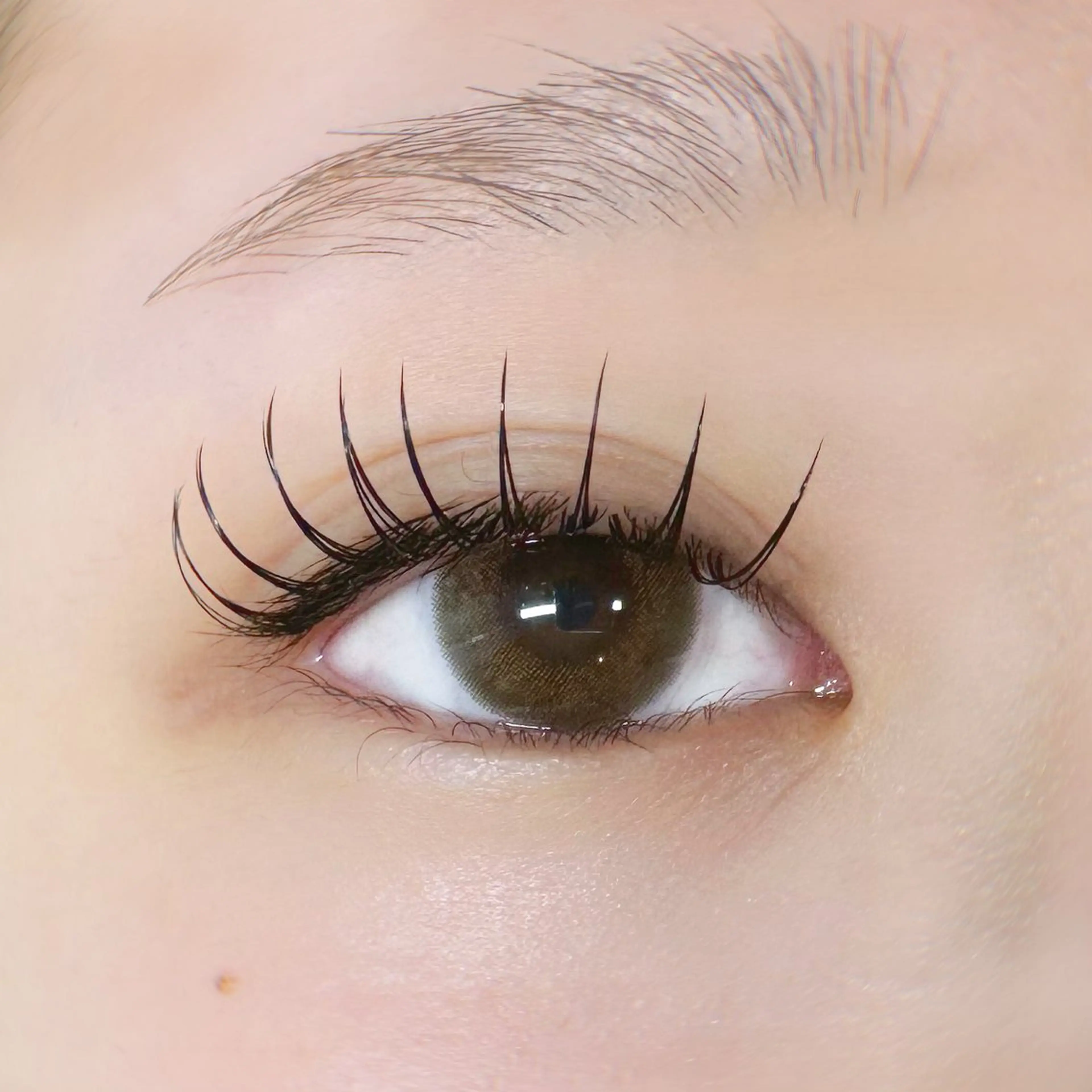 マツエク100​〜​120本✨👀の写真