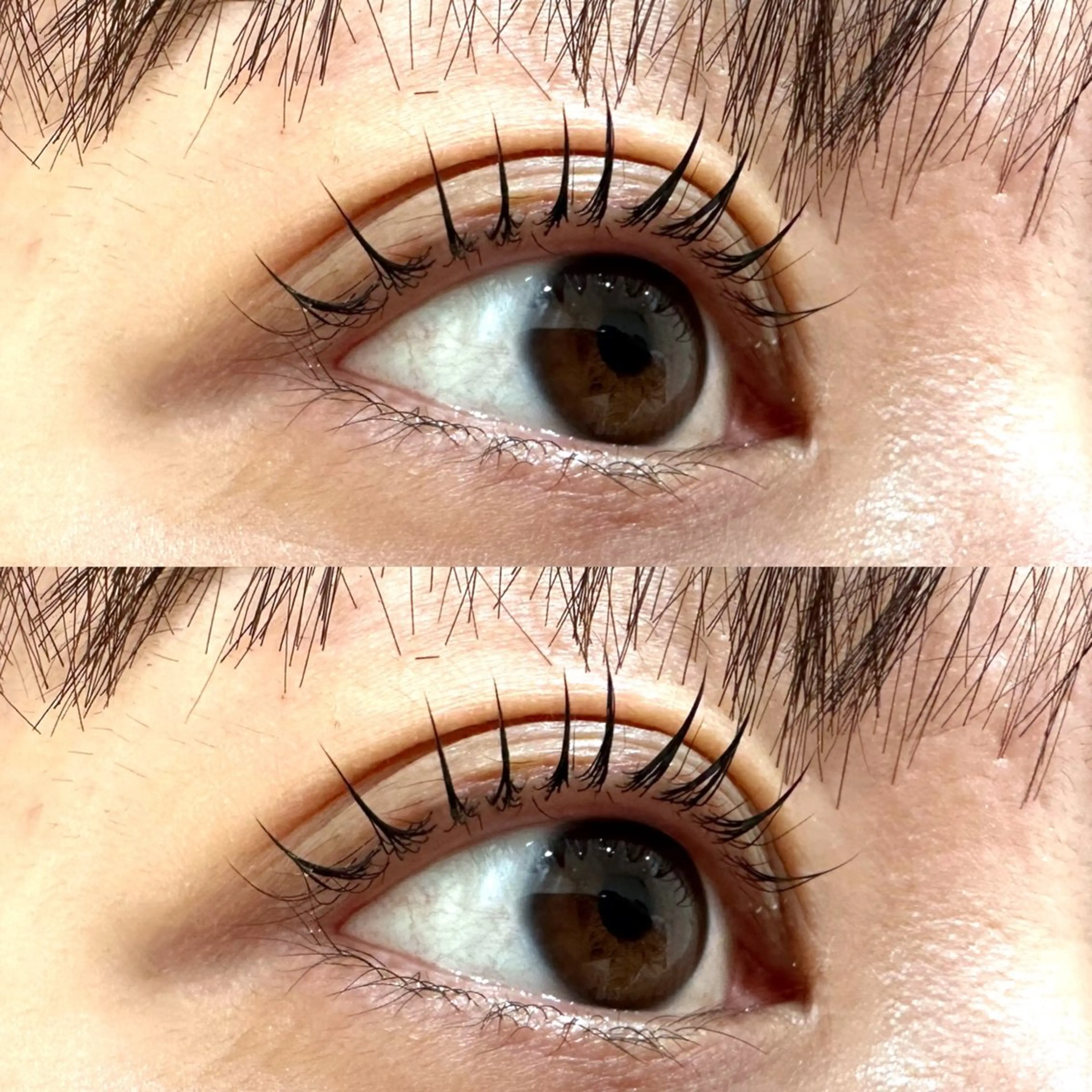 マツエク・マツパ 束感まつ毛 まつげパーマ マツパ Rimiなかもず店 RION🌼の眉毛・アイブロウイメージ