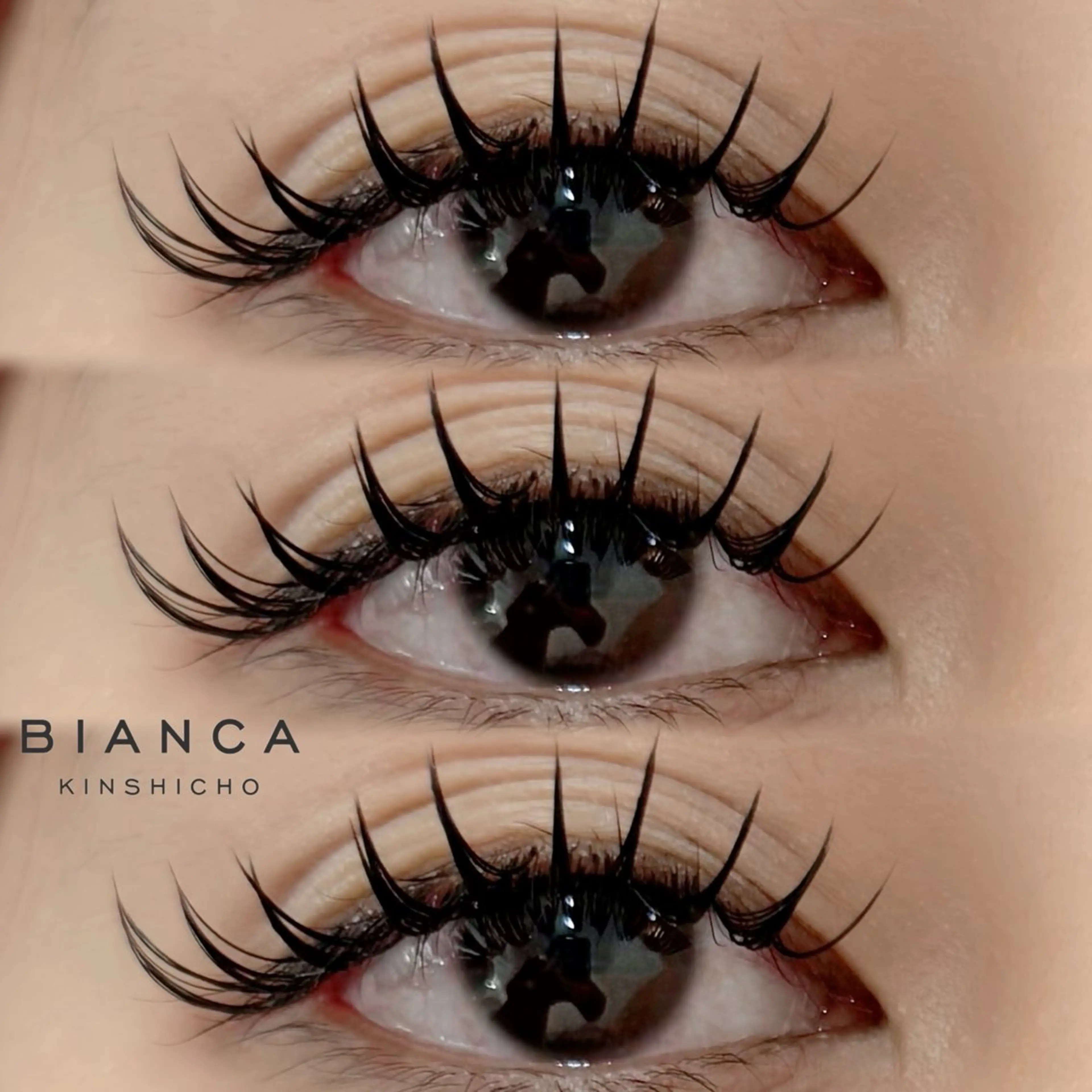 💎バインドロック💎100束の写真