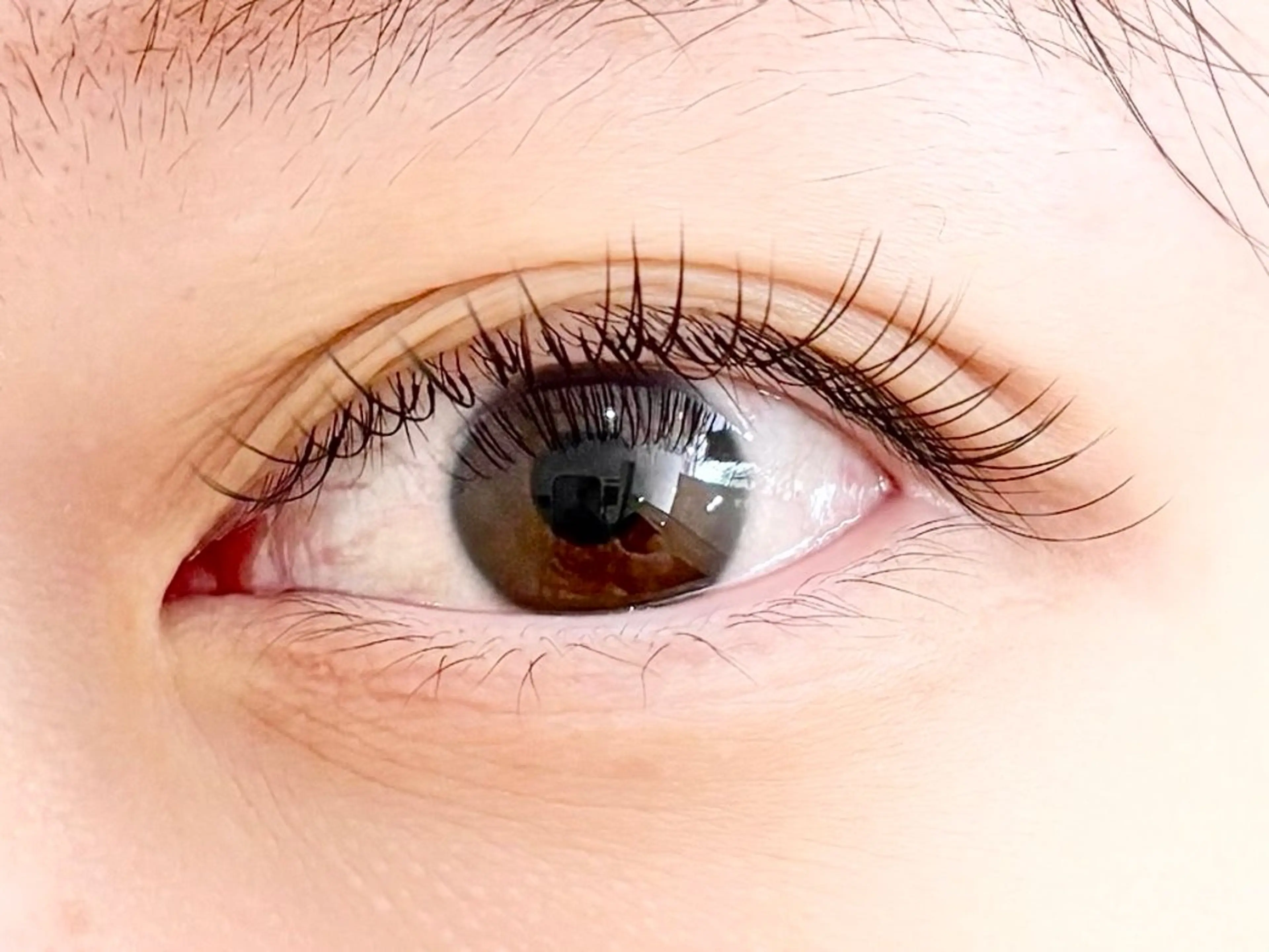 マツエク・マツパ フラットラッシュ マツエク アイラッシュサロン【エフドゥ】所属・中村彩香 (エフドゥ)のマツエク・マツパデザイン