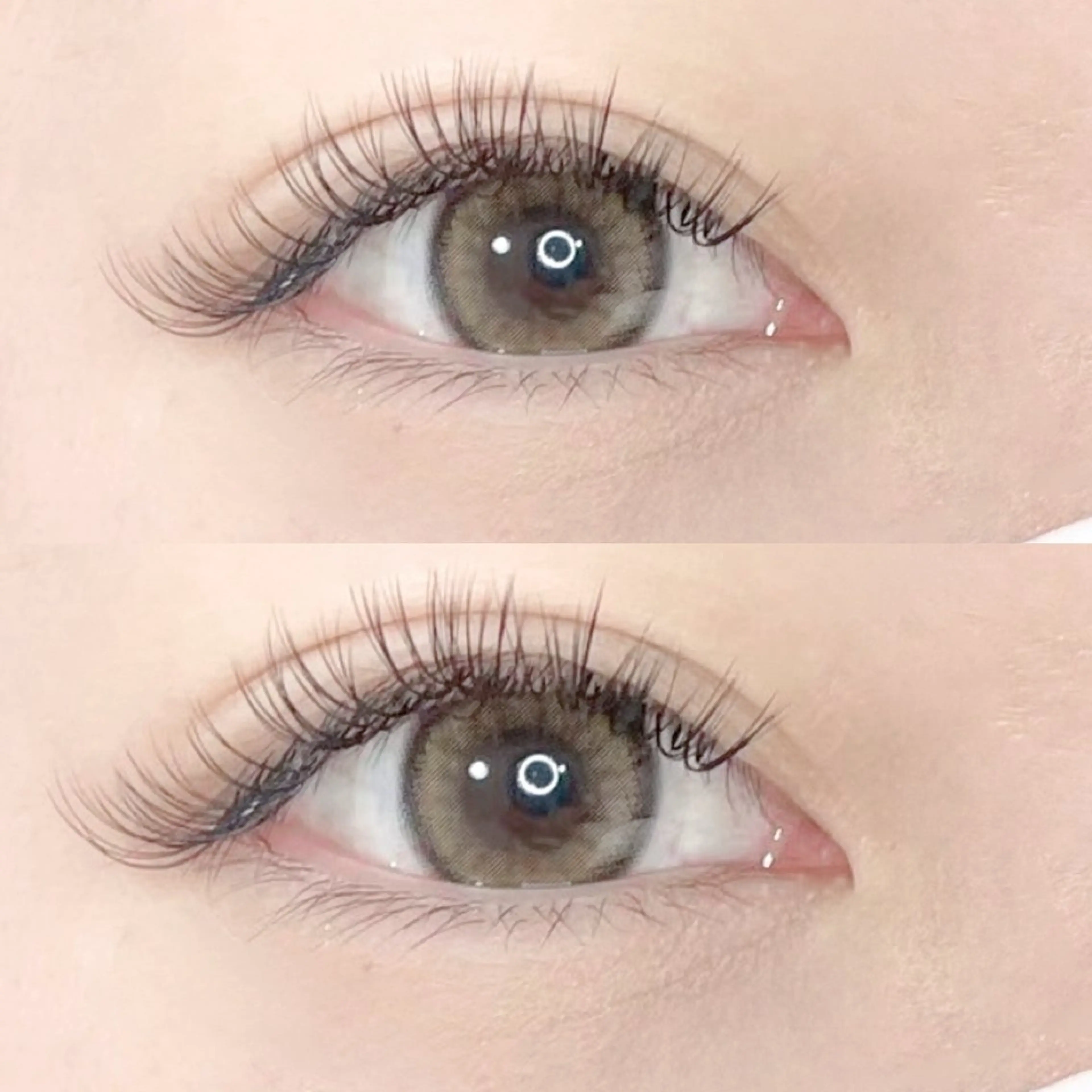 マツエク・マツパ 付け放題 フラットラッシュ Lucia Rinaのマツエク・マツパデザイン