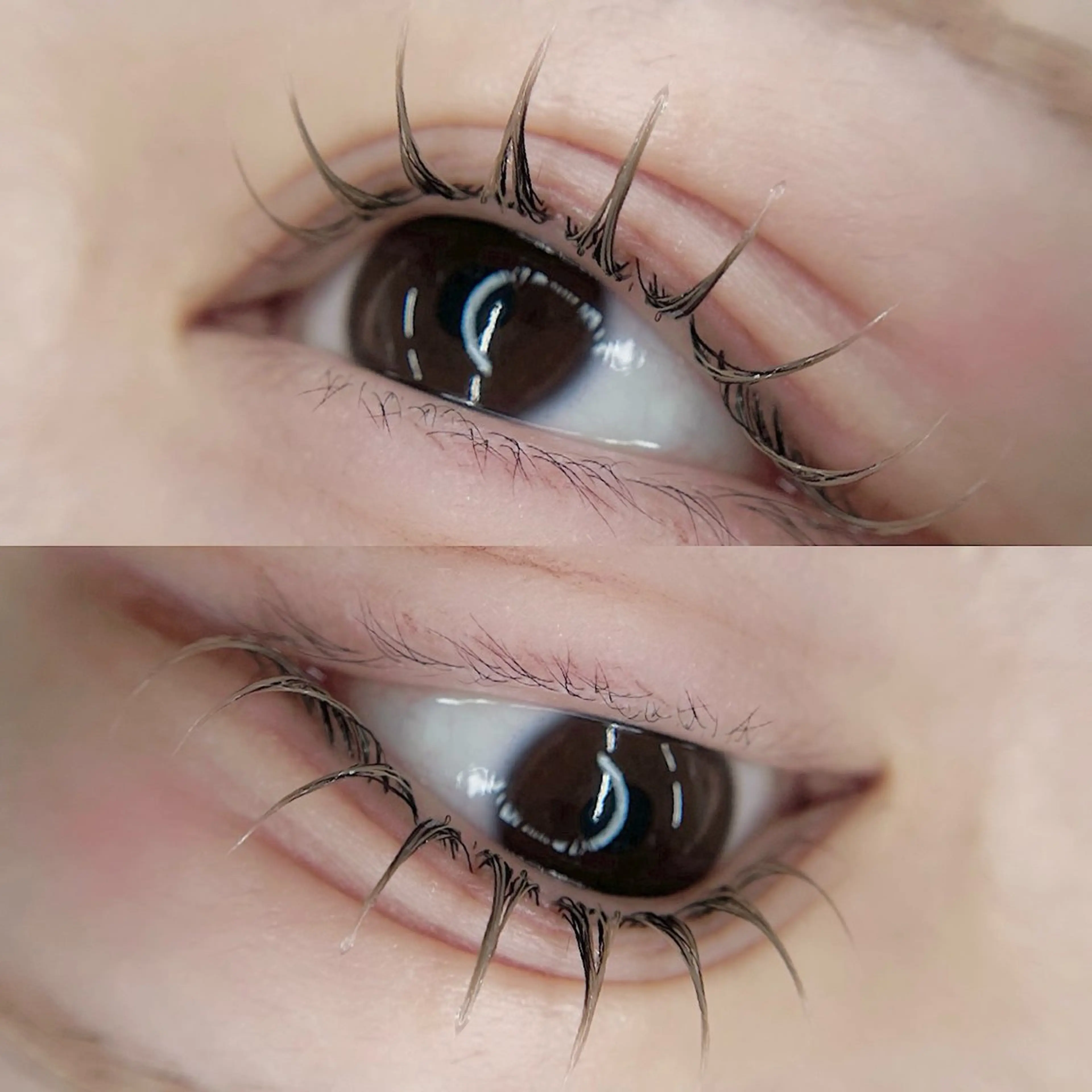 マツエク・マツパ LEDマツエク マツパ撮影モデル募集の眉毛・アイブロウイメージ