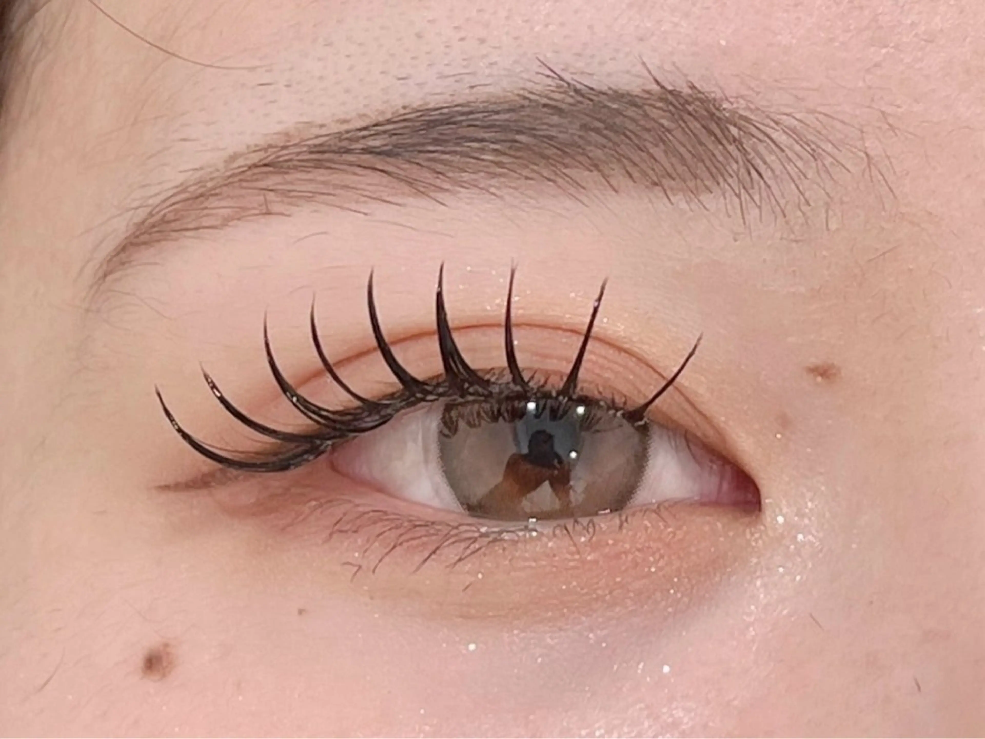 【エクステ】🌼フラットラッシュ120本🌼の写真