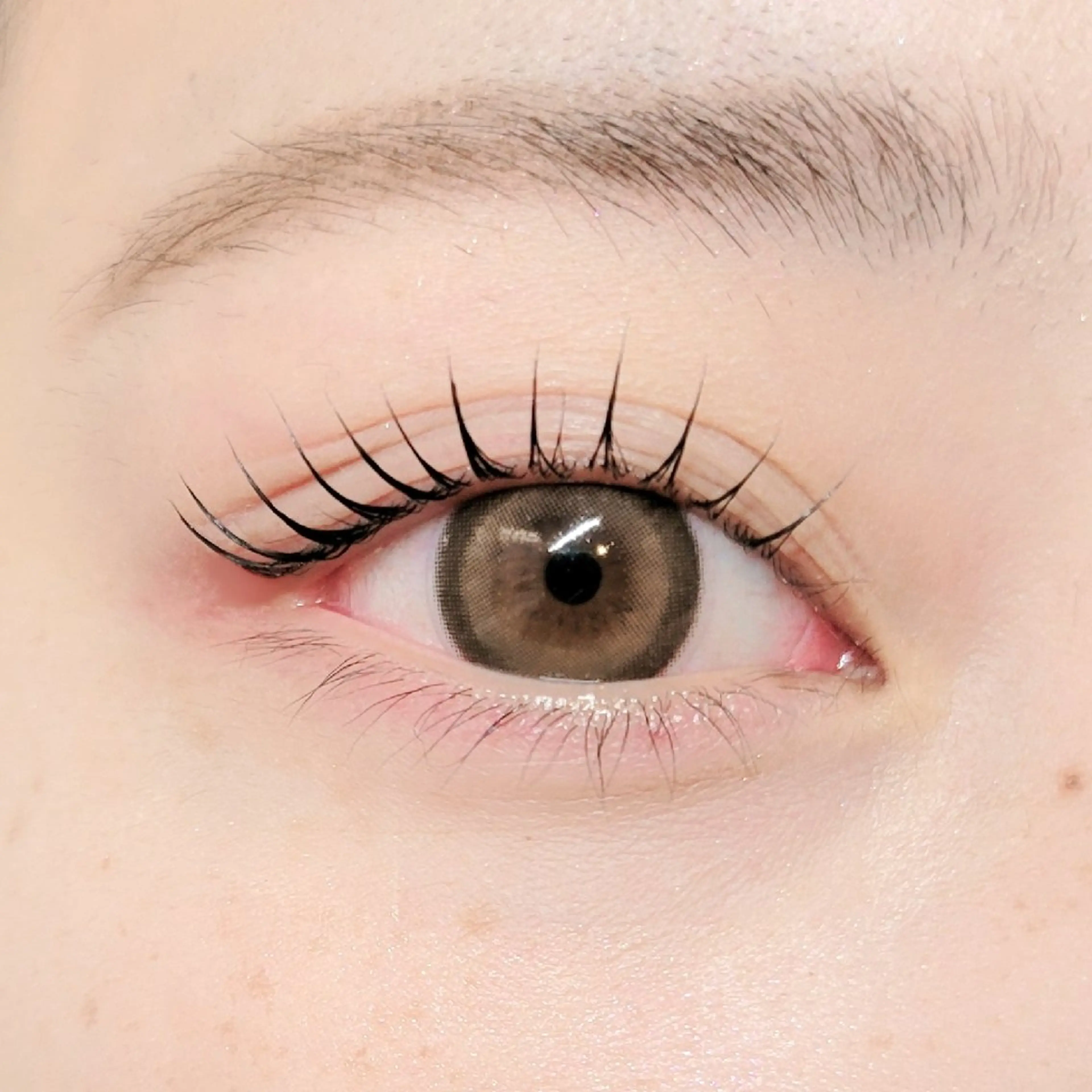 🐿メーテルロッド【SNSで話題の大人気ロッド】全体ぱっちり目尻タレ目デザインが叶う🫧の写真