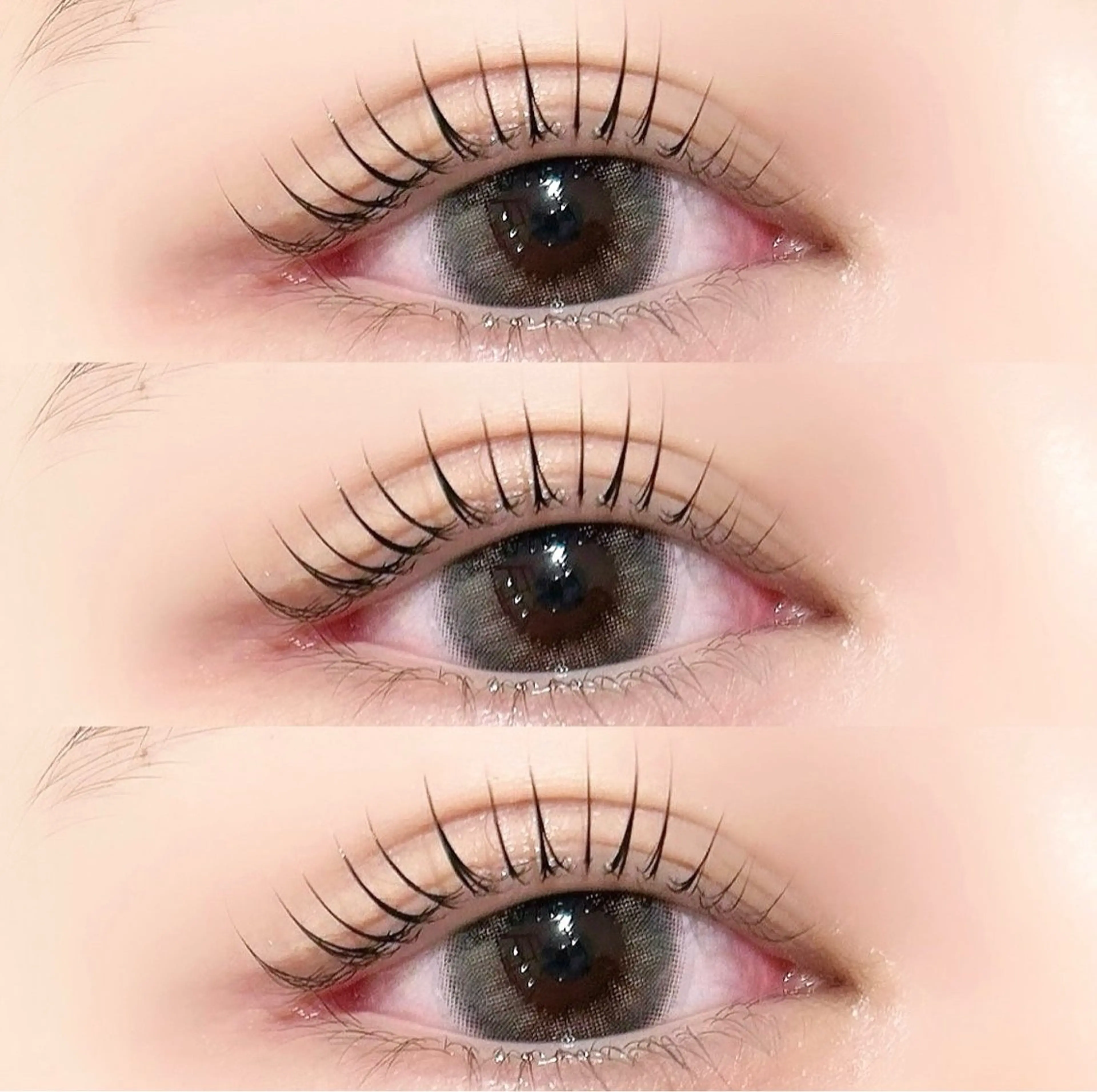 12月ご予約限定クーポン🎄🪞︎選べるまつ毛パーマ➕アイシャンプー➕美容液仕上げ💖の写真