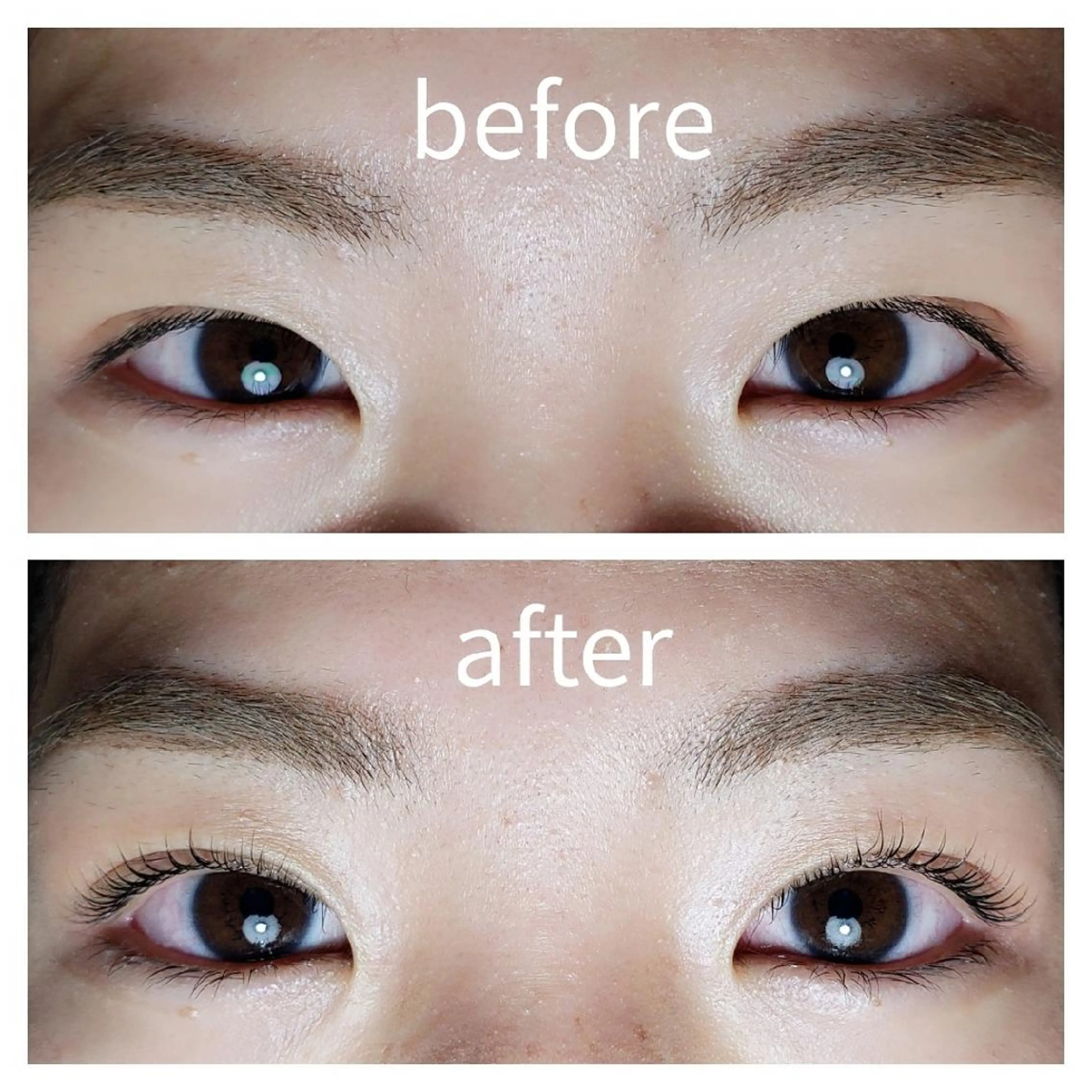 ♥️初回限定♥️ラスティングカール 上の写真