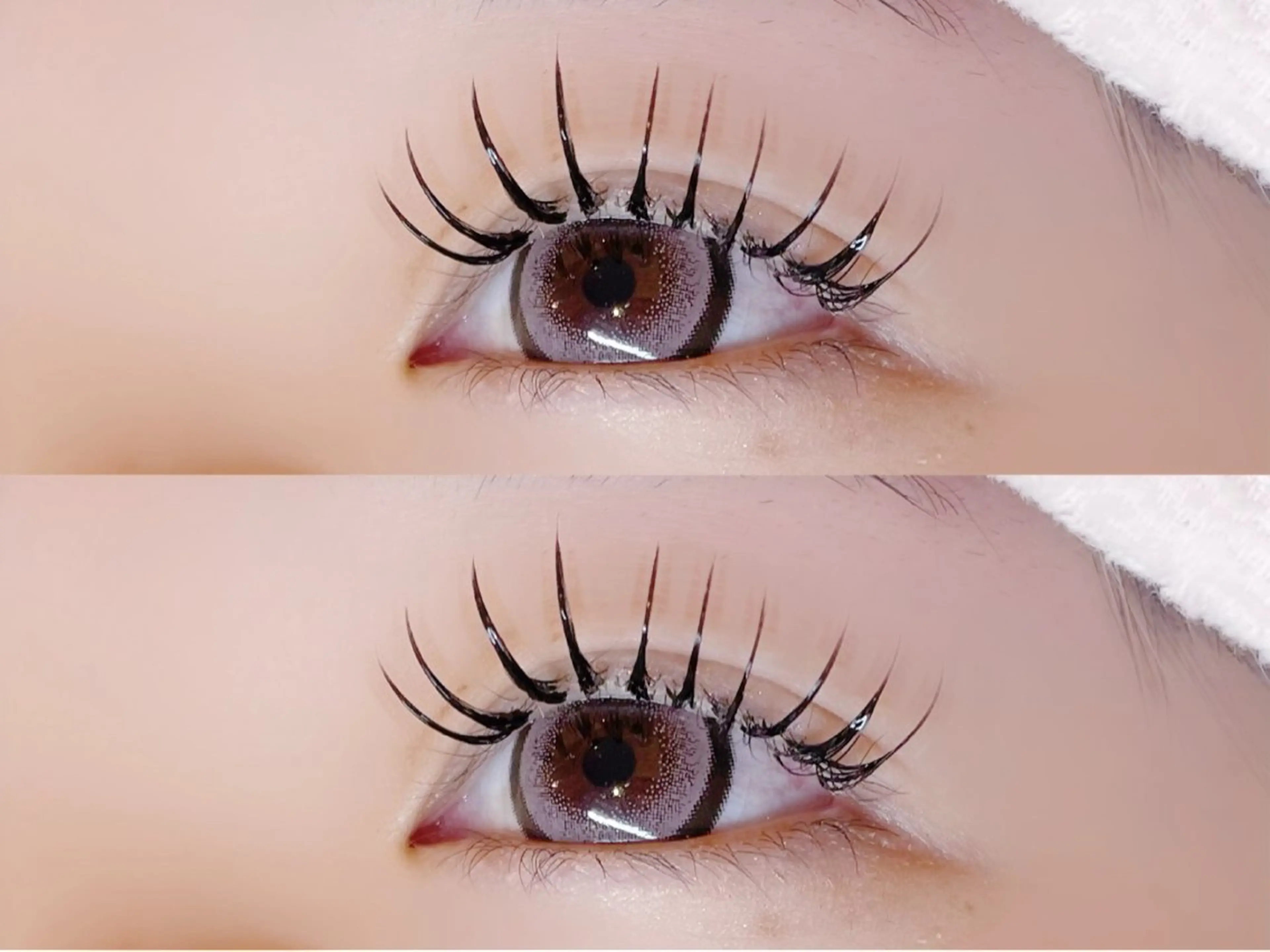 🌟バインドロック60束(フラ80​〜​100本程)🌟⚠️必ず注意事項ご確認の上ご予約お願いいたします！の写真