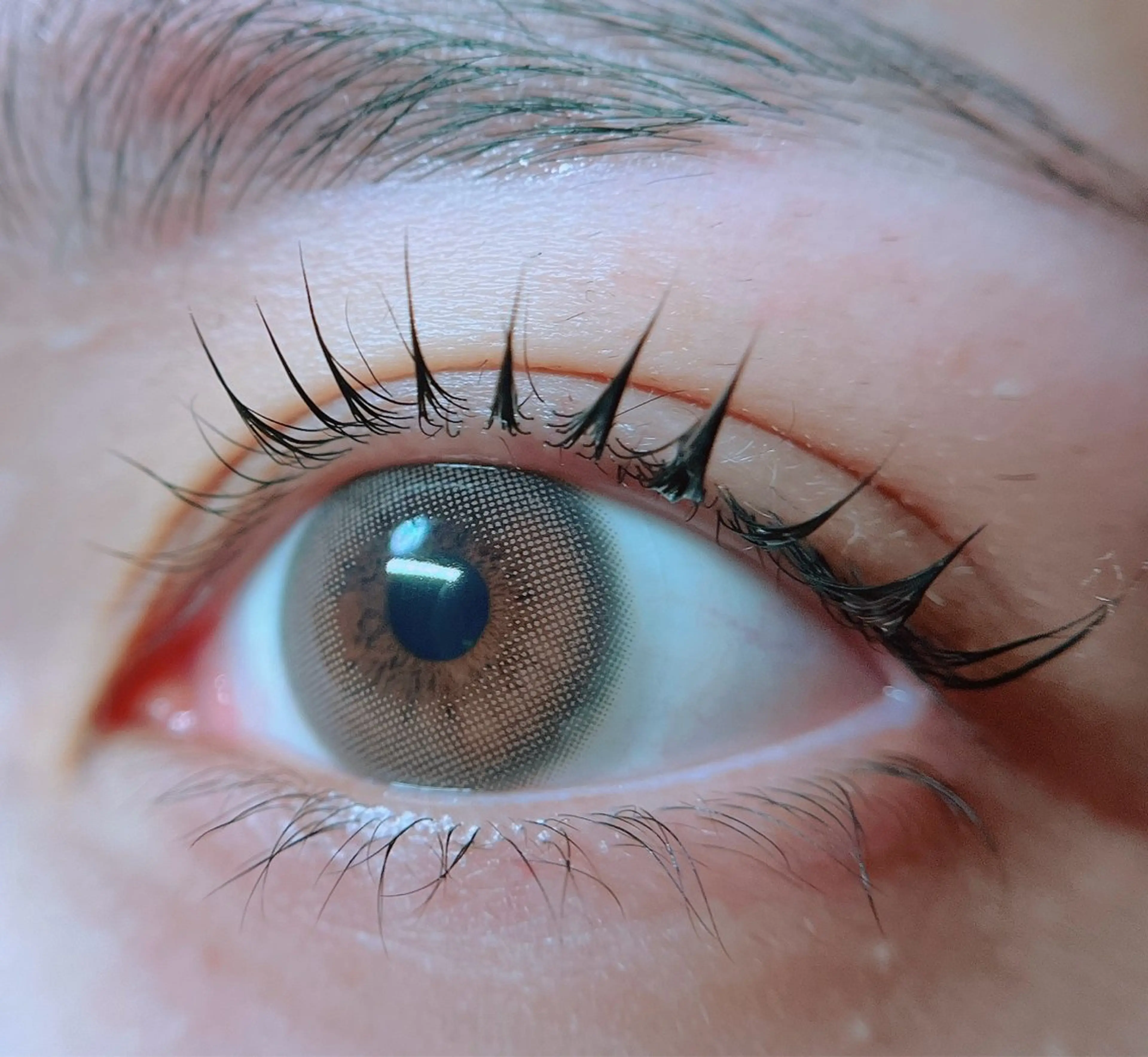 12月、1月は年末年始セール❗️ラッシュリフト!アイシャ、トリートメント込み!⚠️注意事項お読み下さい。の写真