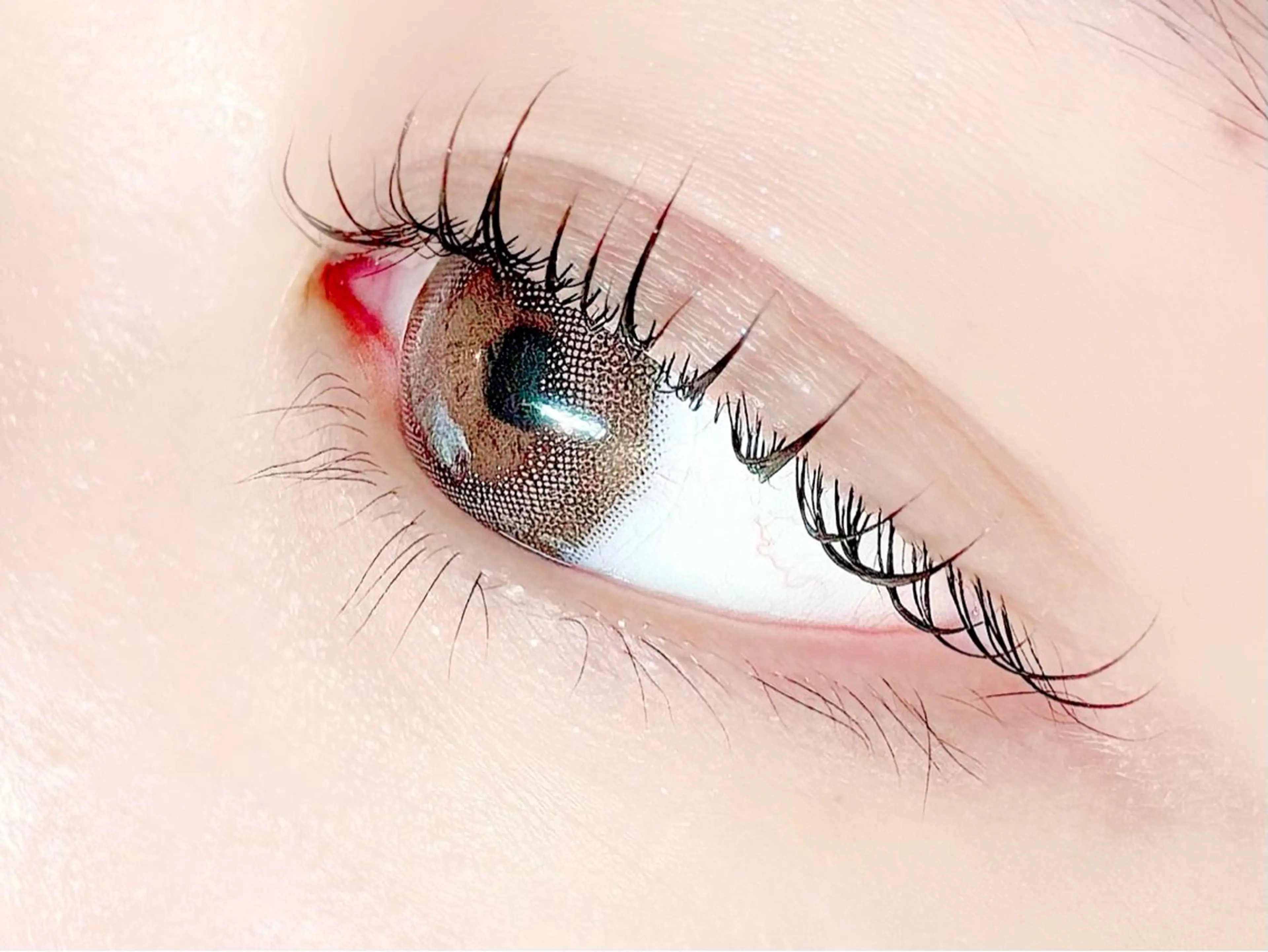 マツエク・マツパ MiURA/新技術 &研修生モデル募集用のマツエク・マツパデザイン