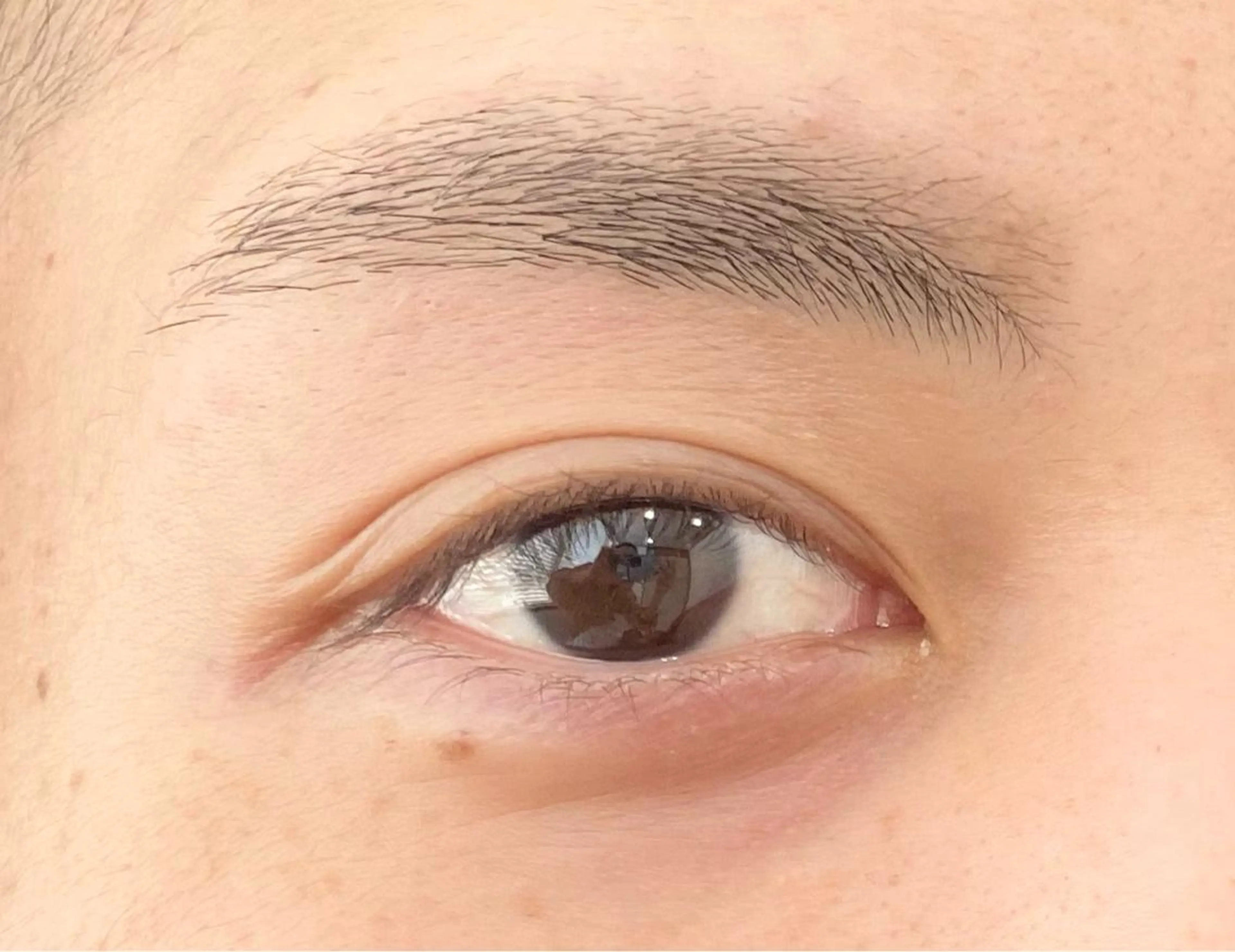 【メンズ】眉毛waxスタイリングの写真