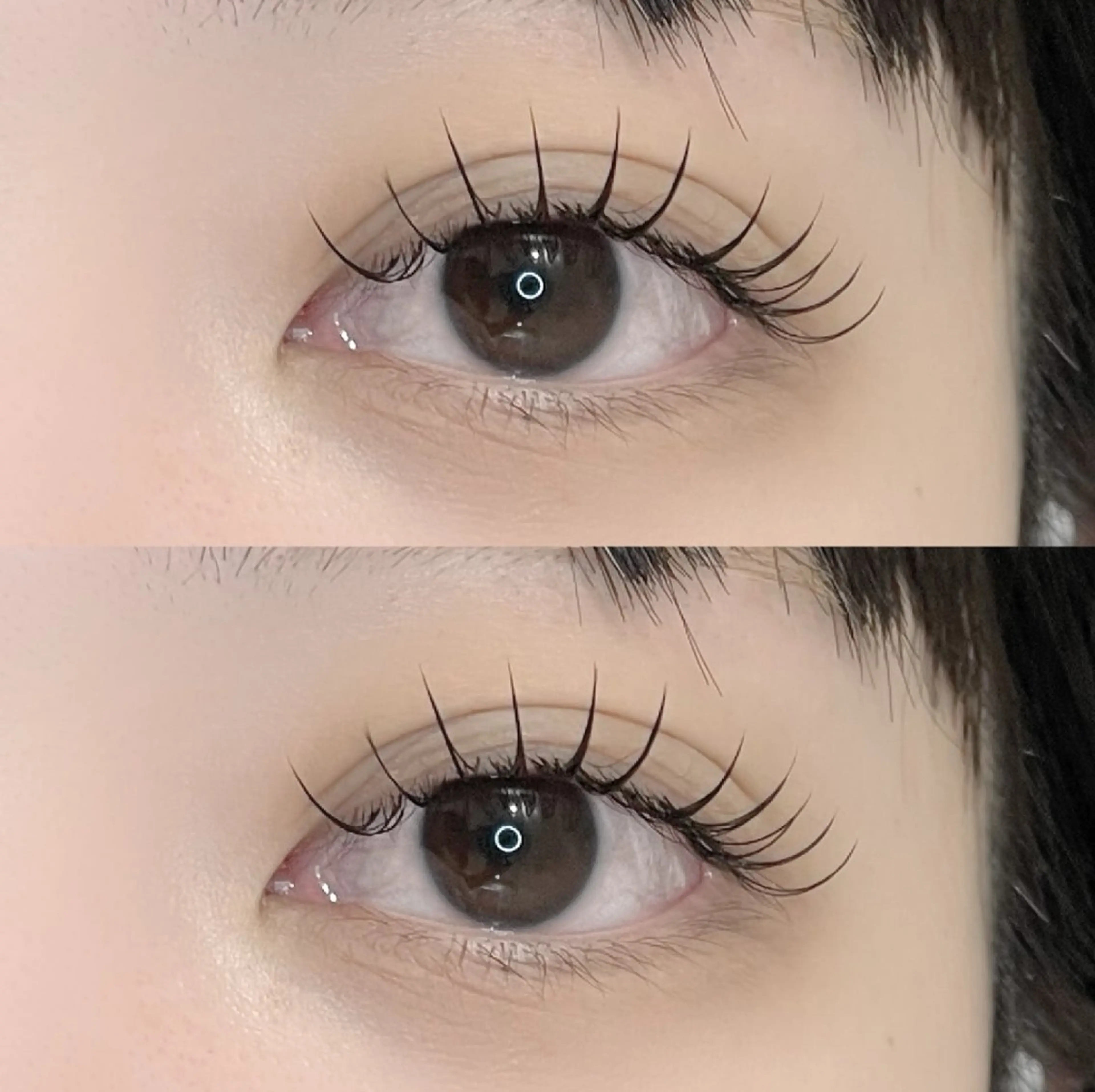 🎀【フラットラッシュ】🎀100本の写真