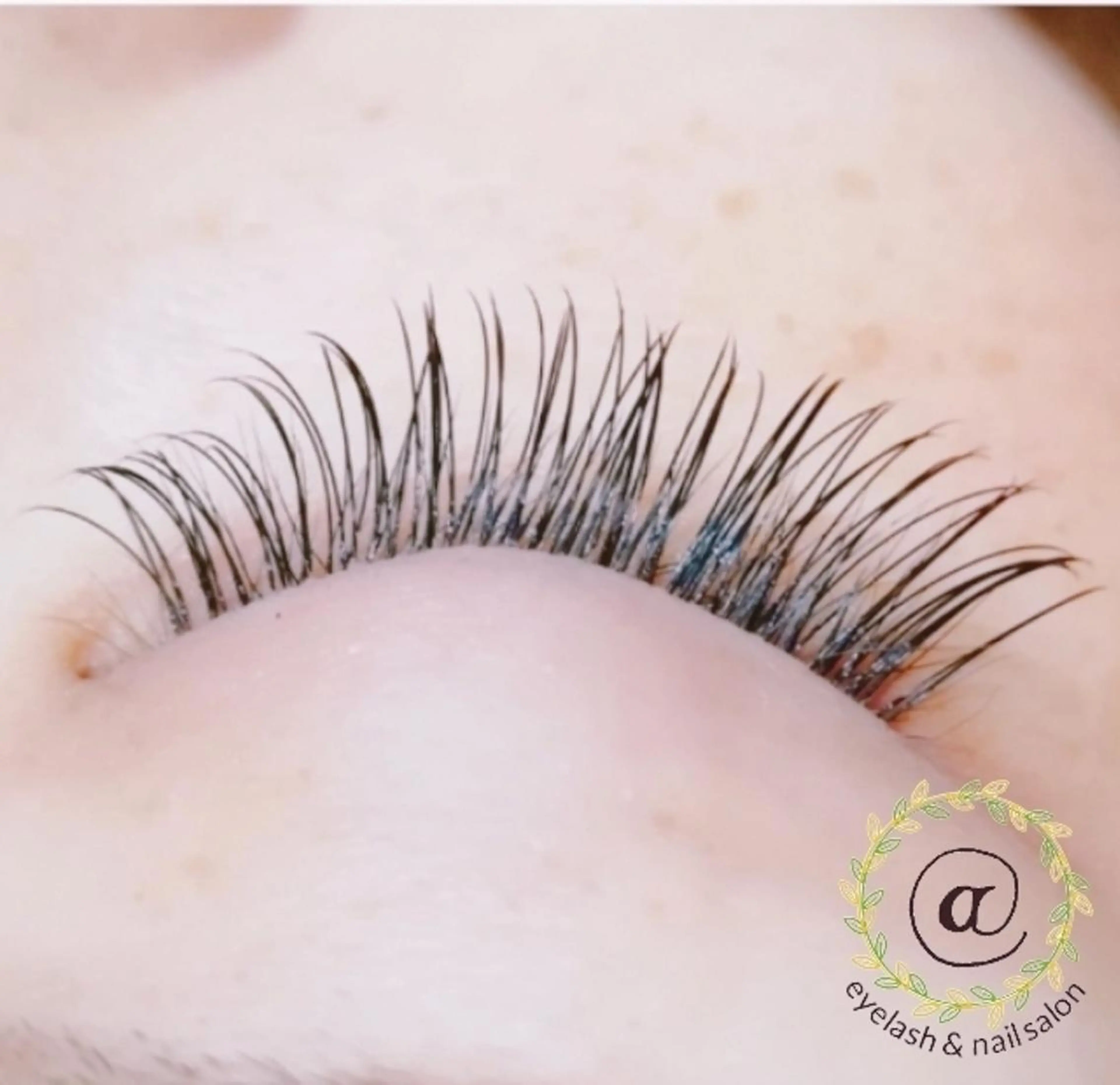 【オフなし】高級セーブル 120本まで＊ 長さ8～13mm＊お好きなお目元に＊の写真