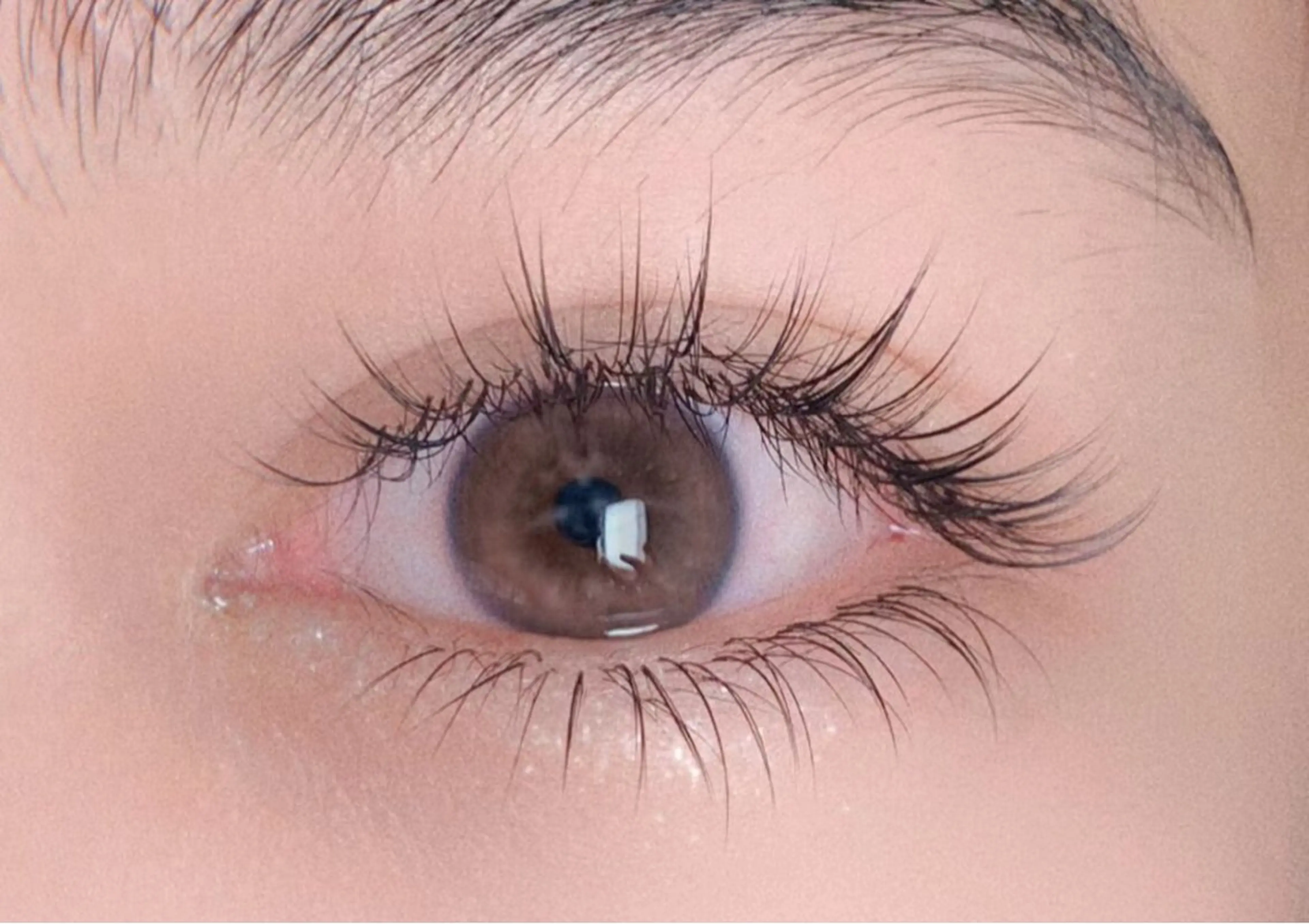 【中華ナチュラルワンホン】フラットラッシュ120本の写真