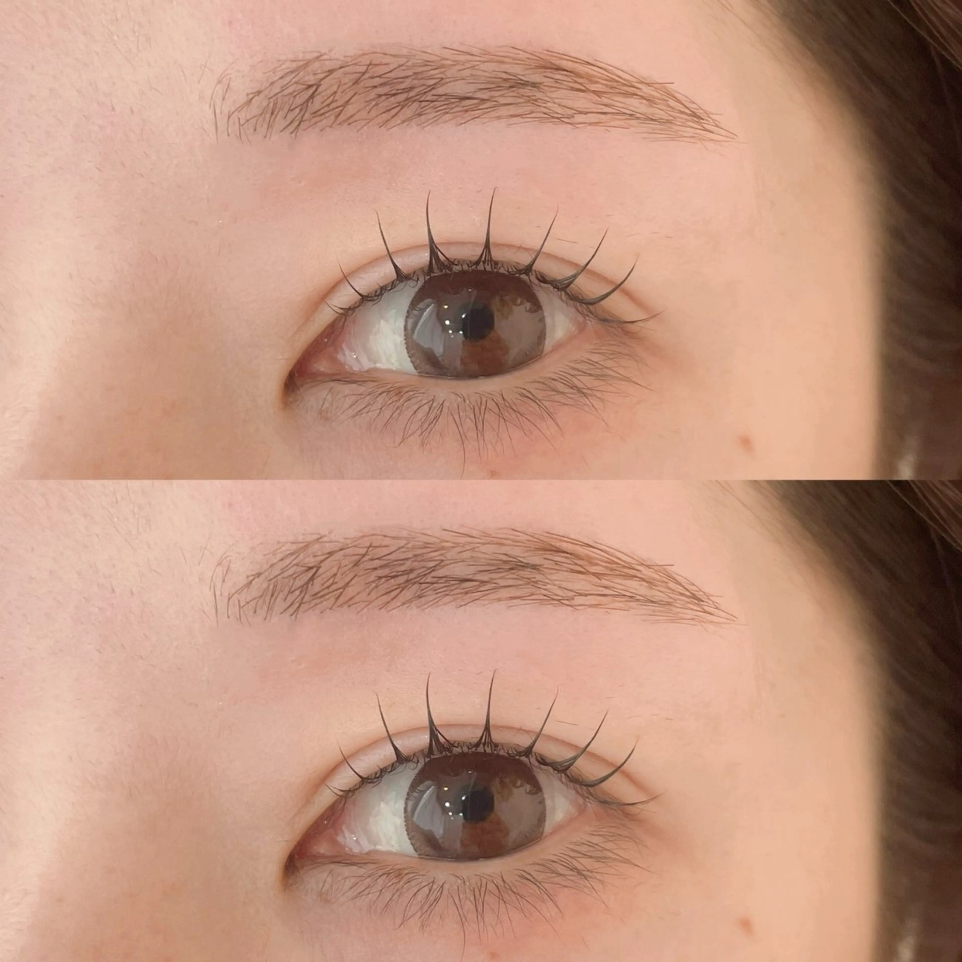 ラッシュリフト✖️アイブロウWAX💐の写真