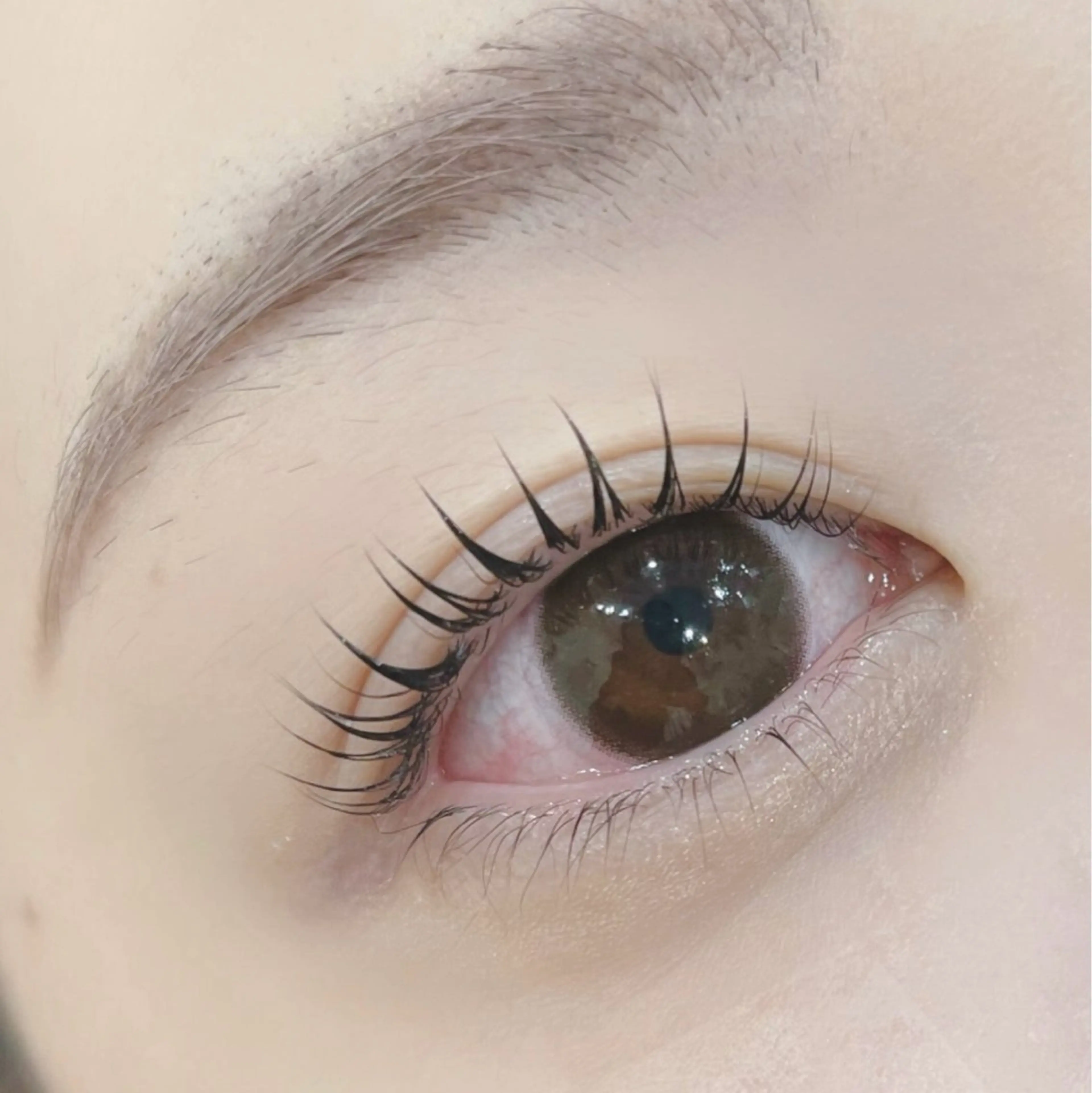 マツエク・マツパ マツパ IIJIMA /まつパ/パリ/束感のマツエク・マツパデザイン