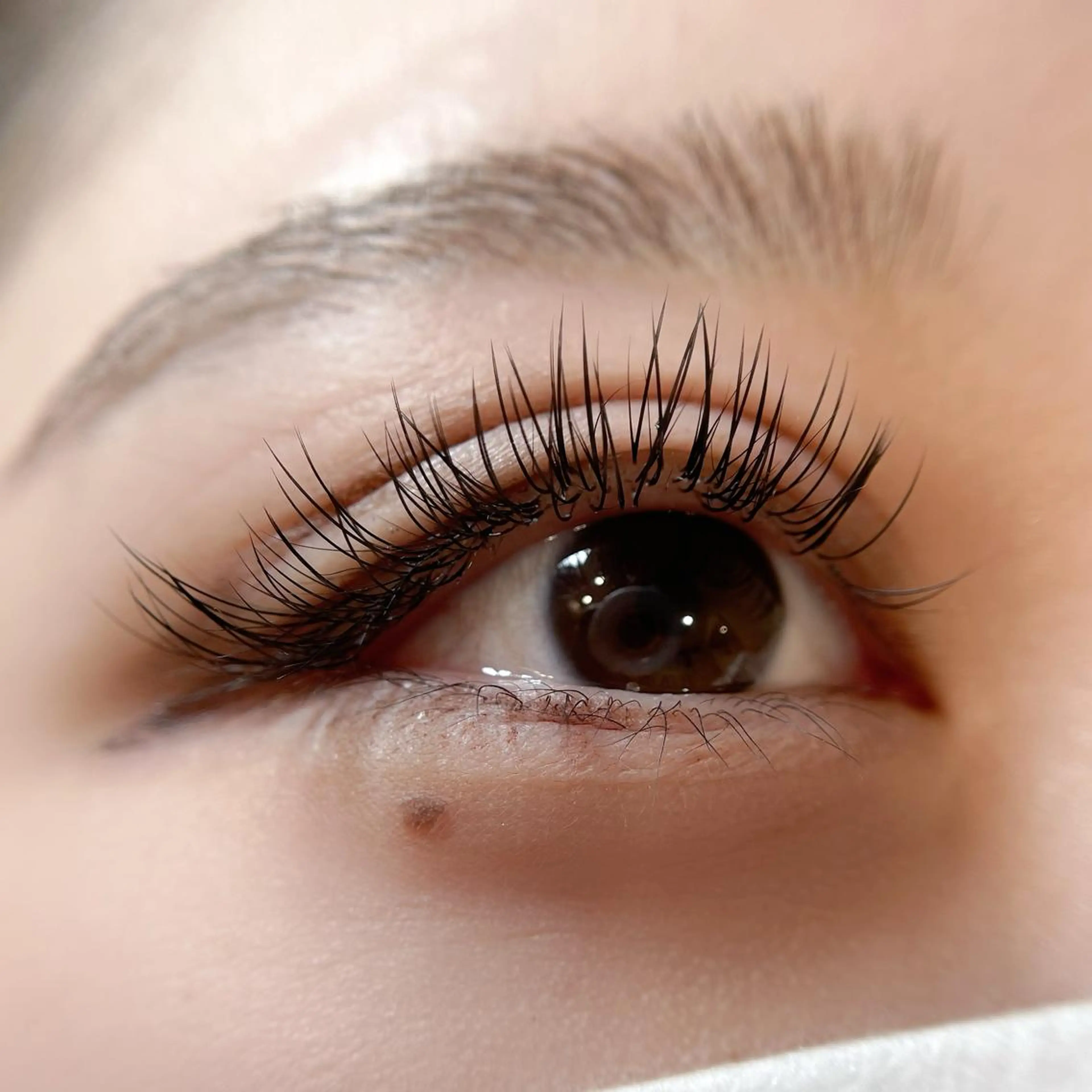 🌟ぱっちり華やか🌟フラットラッシュ付け放題　9800円！オフ無料・コーティング込み✨の写真