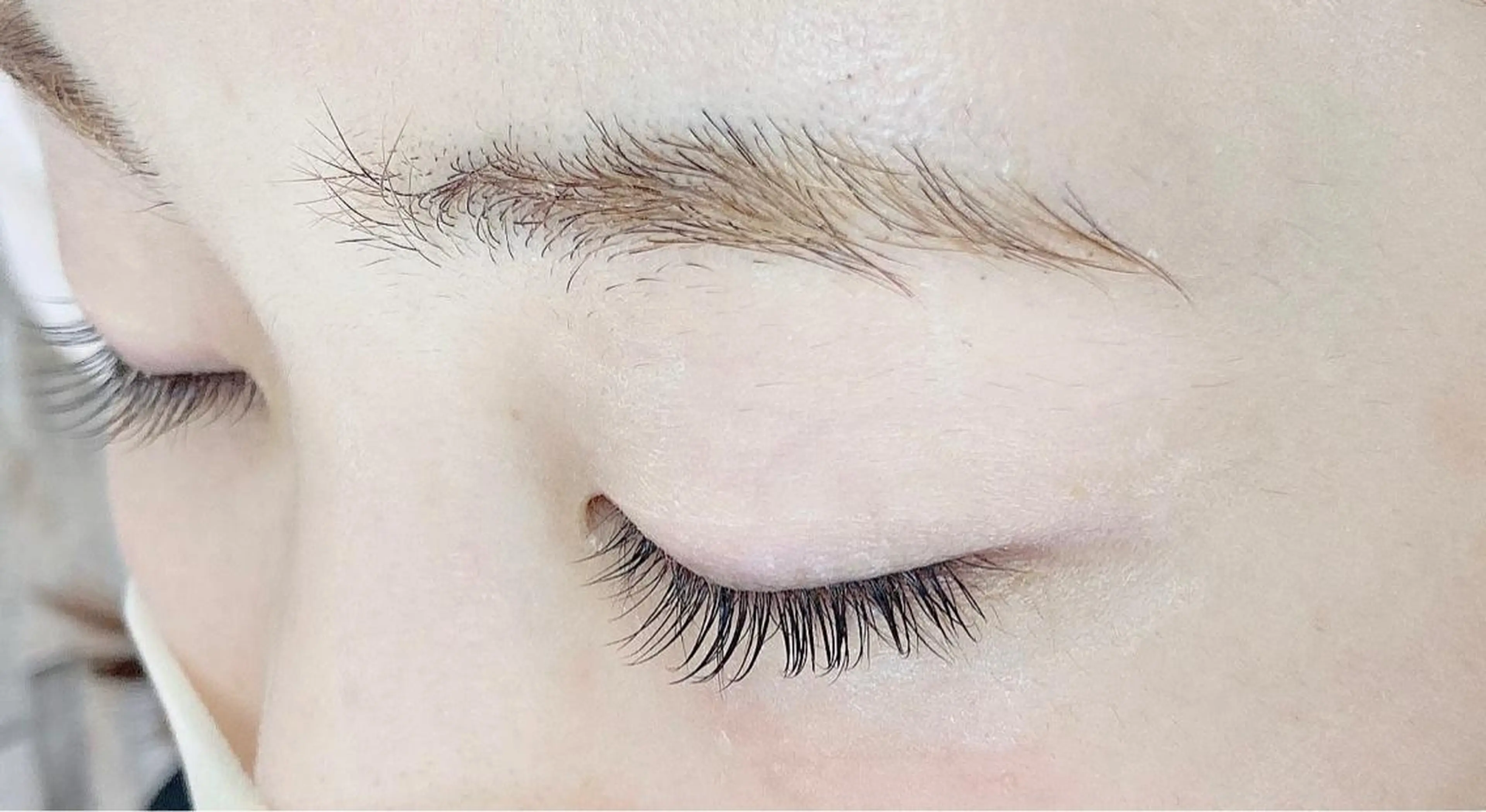 フラットラッシュ80本の写真