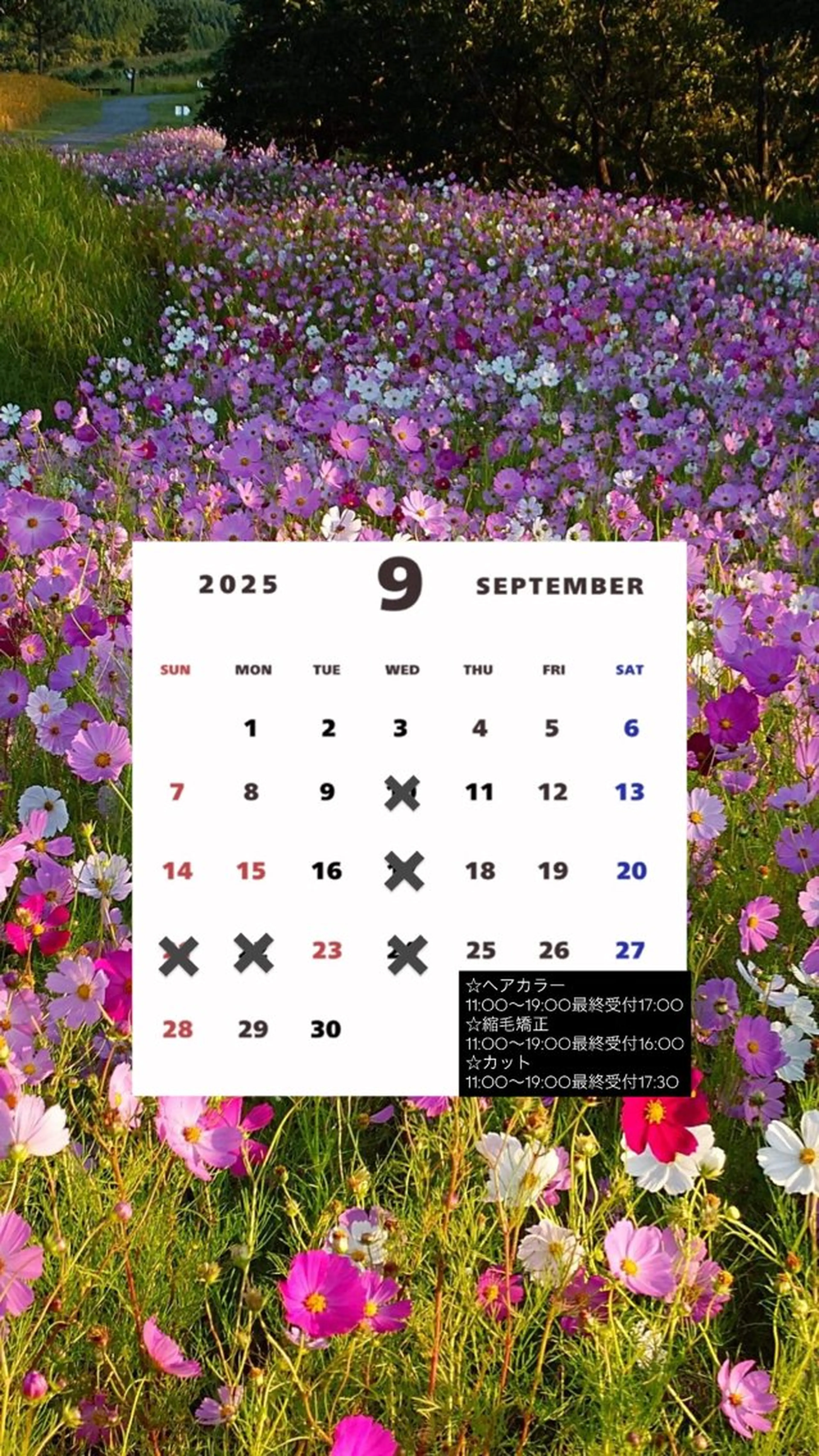 カット ヘアカラー トリートメント Agu hair noman マナのヘアスタイル