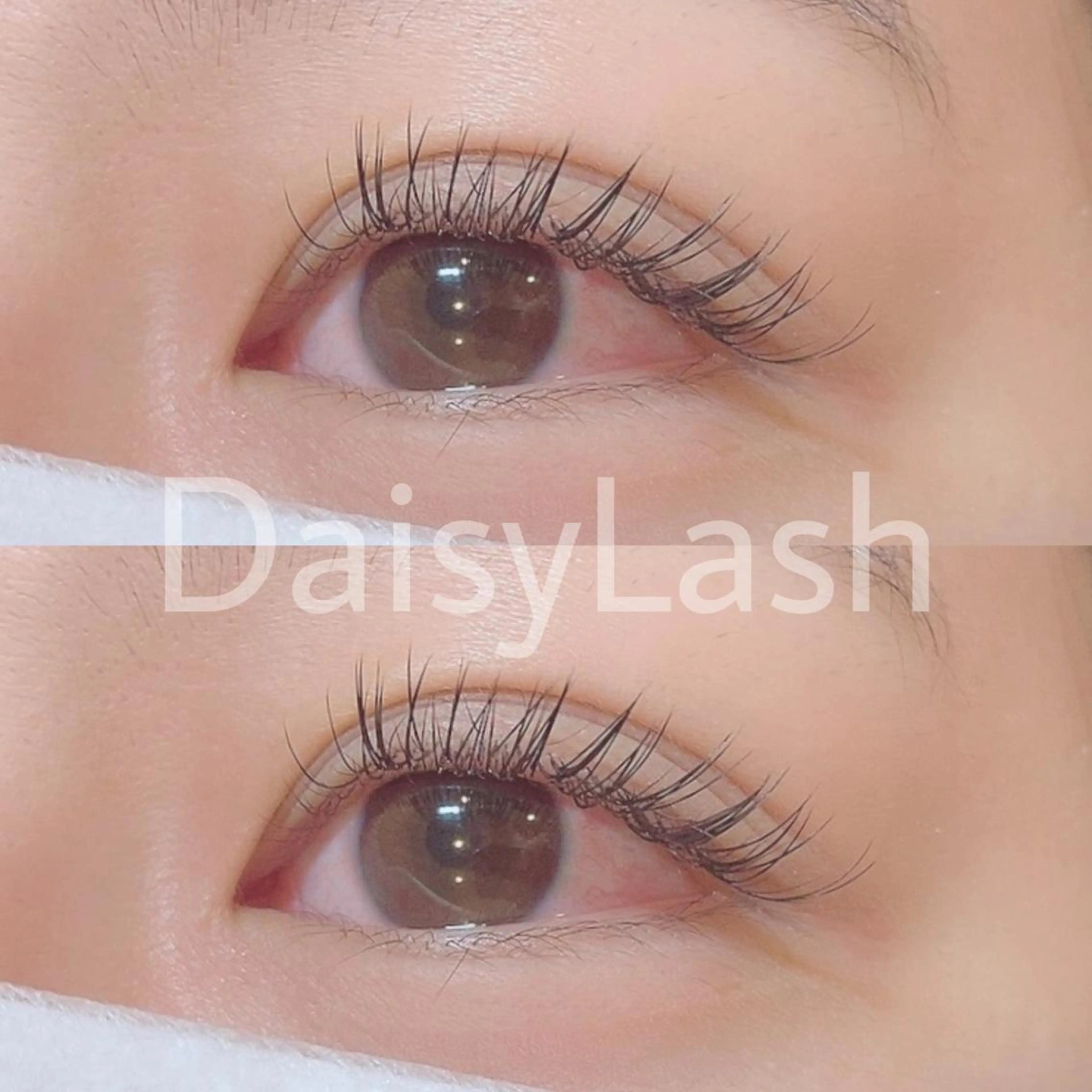 マツエク・マツパ DaisyLash 京橋店のマツエク・マツパデザイン