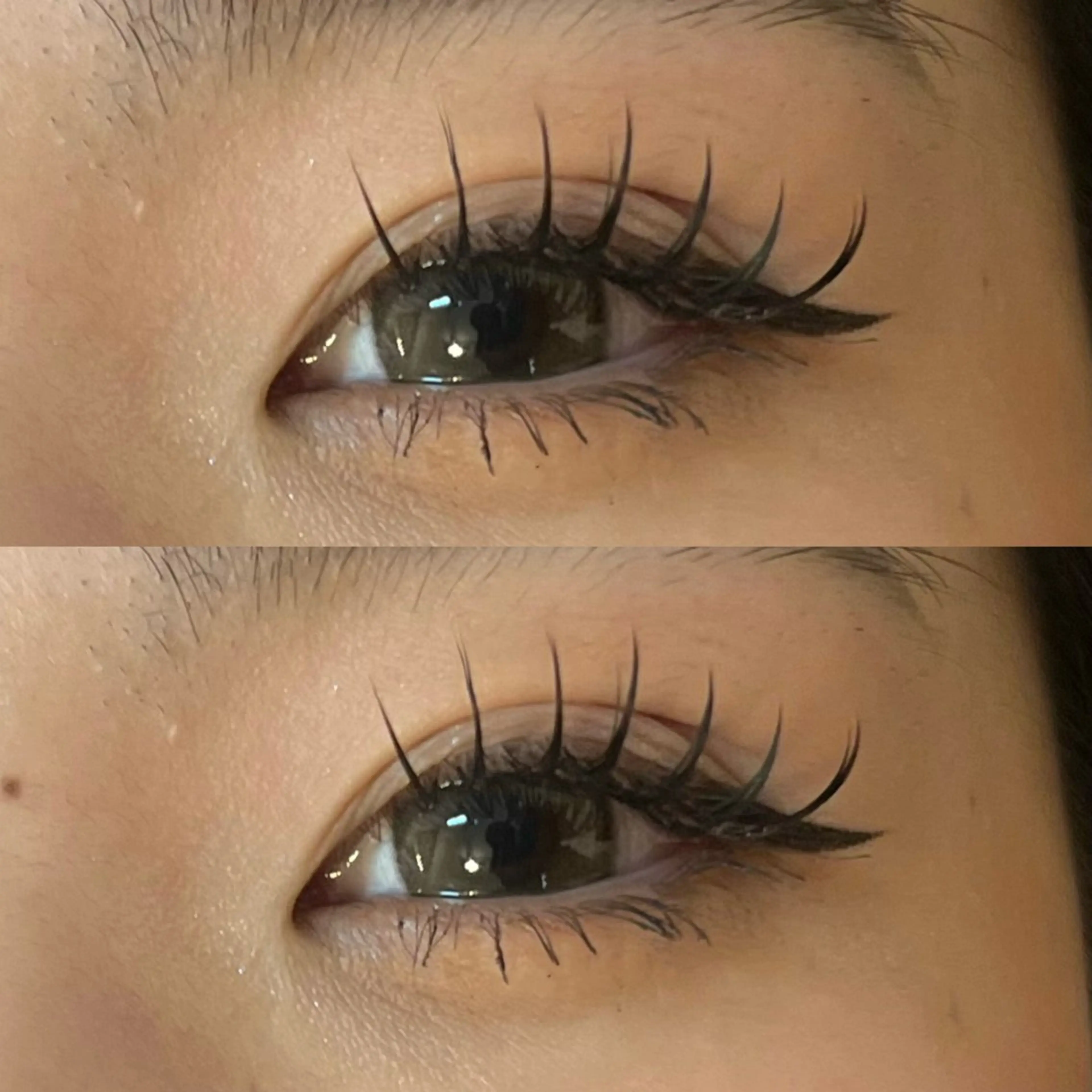 【🦋当日限定クーポン❣️🦋】バインドロックorダブルフラット80束(160本)💕の写真