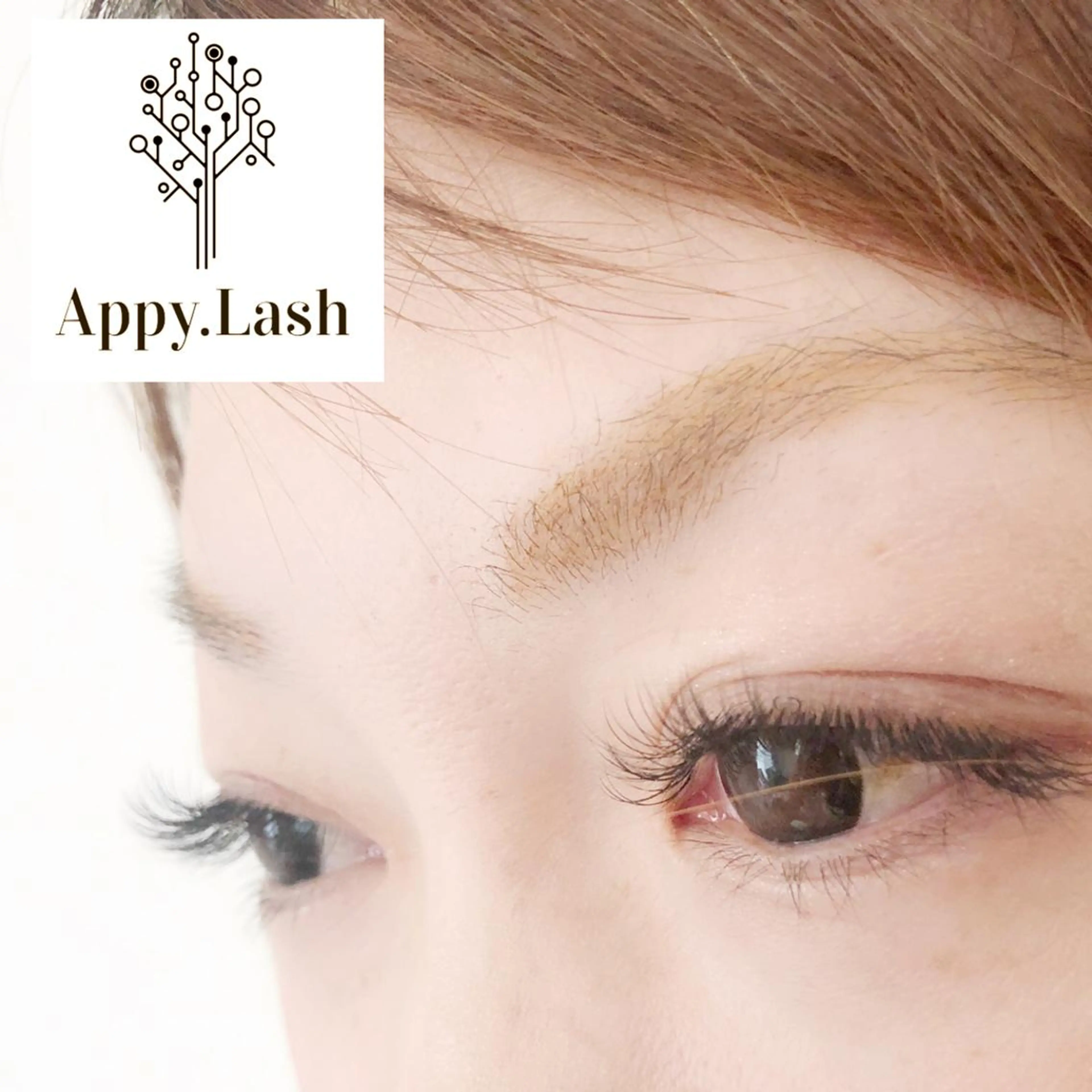 マツエク・マツパ フラットラッシュ まつげと眉の専門店 Appy.Lashのマツエク・マツパデザイン