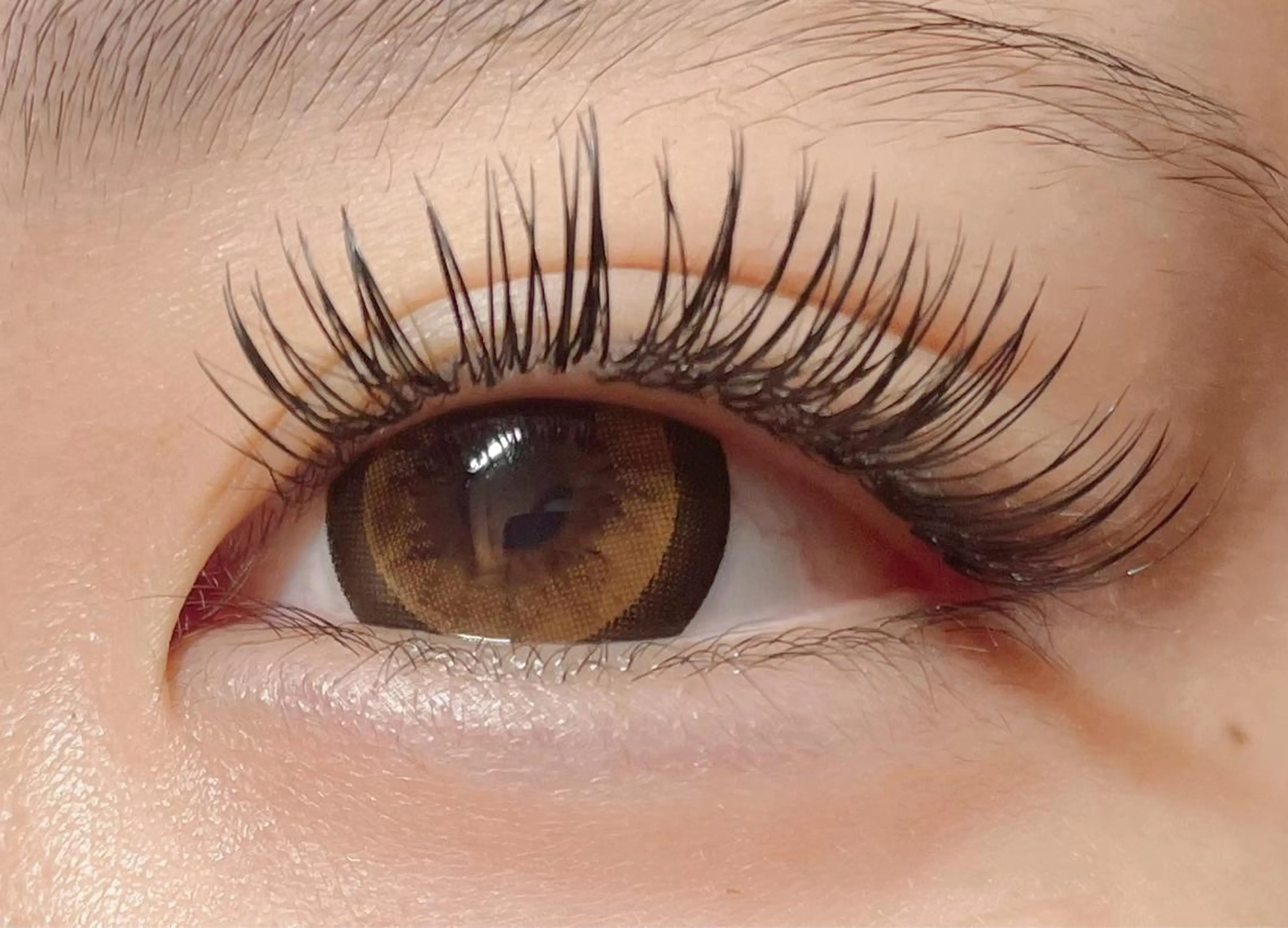 マツエク・マツパ フラットラッシュ パリジェンヌラッシュリフト princess 森 碧海のマツエク・マツパデザイン