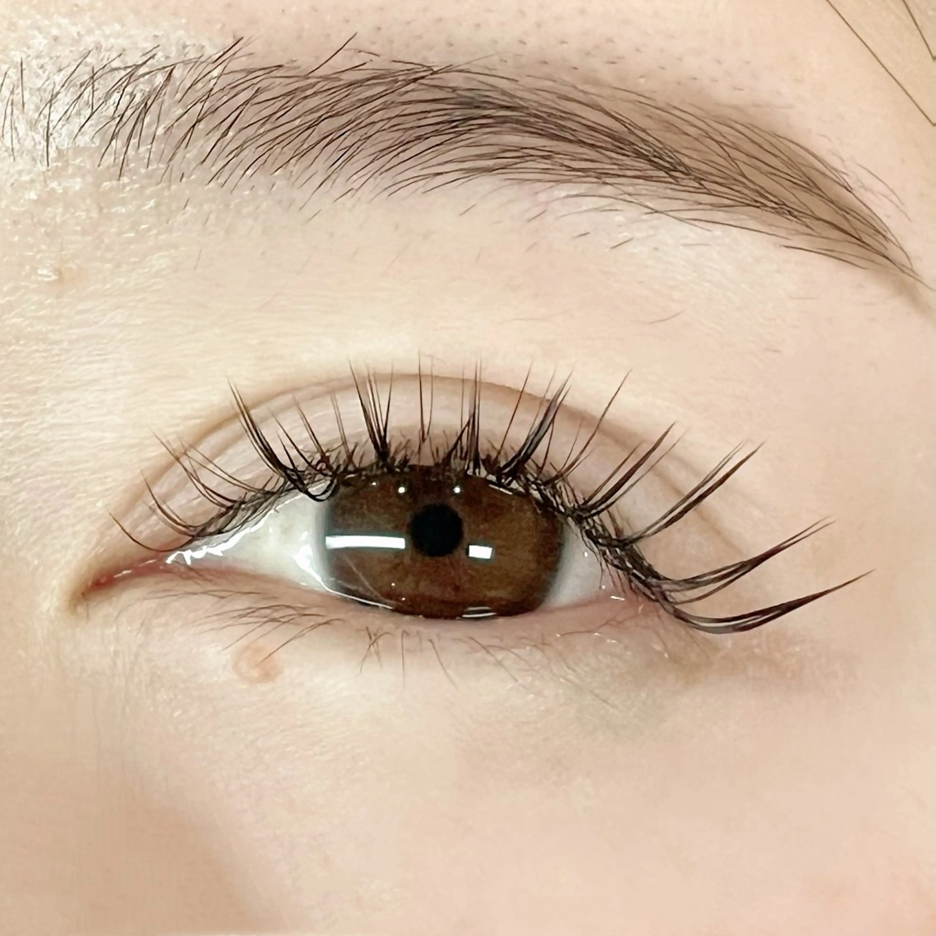 カラーデザインエクステ(Lカール)練習モデルさん募集‼︎🌟オフなしの写真