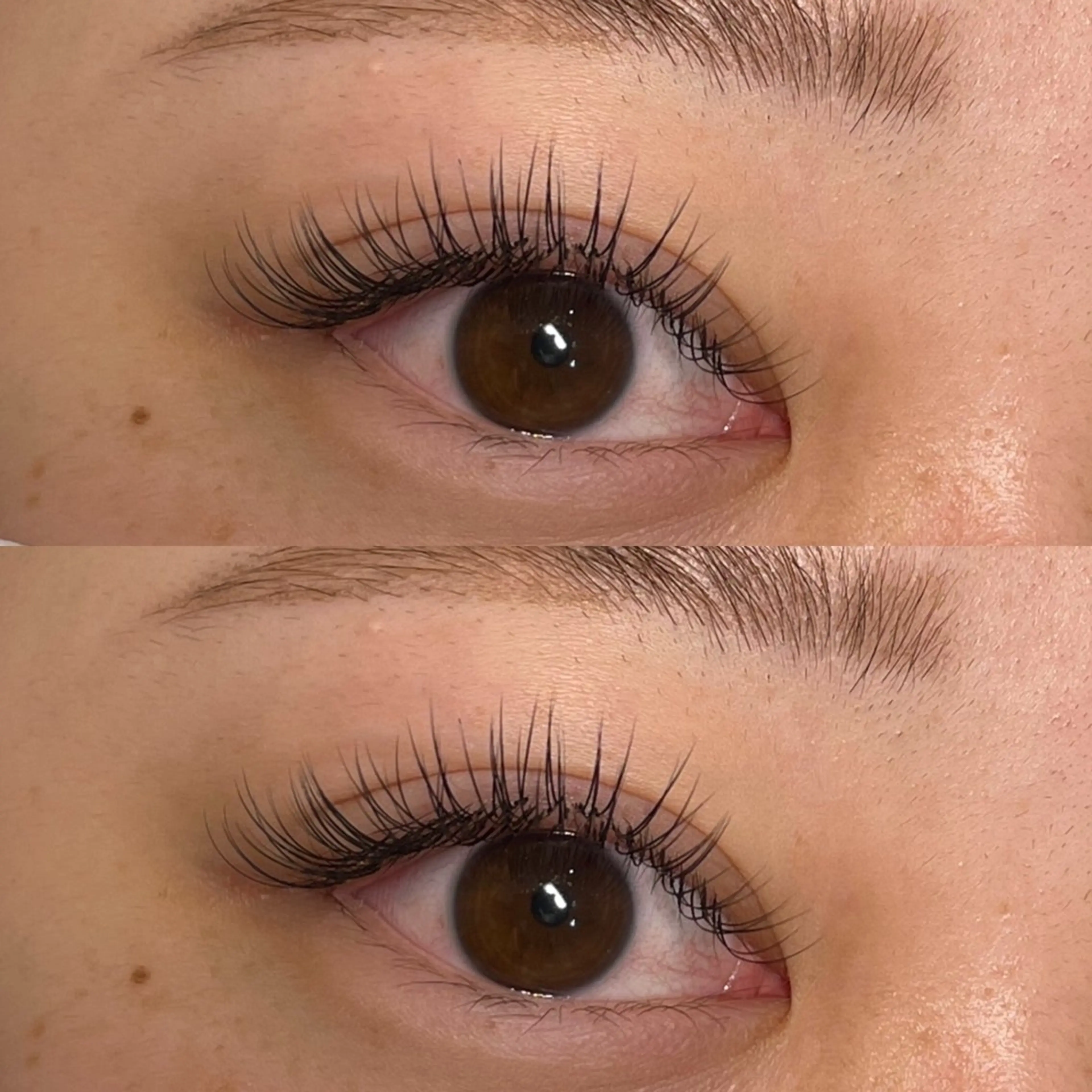 マツエク・マツパ マツエク arbis Morotaのマツエク・マツパデザイン