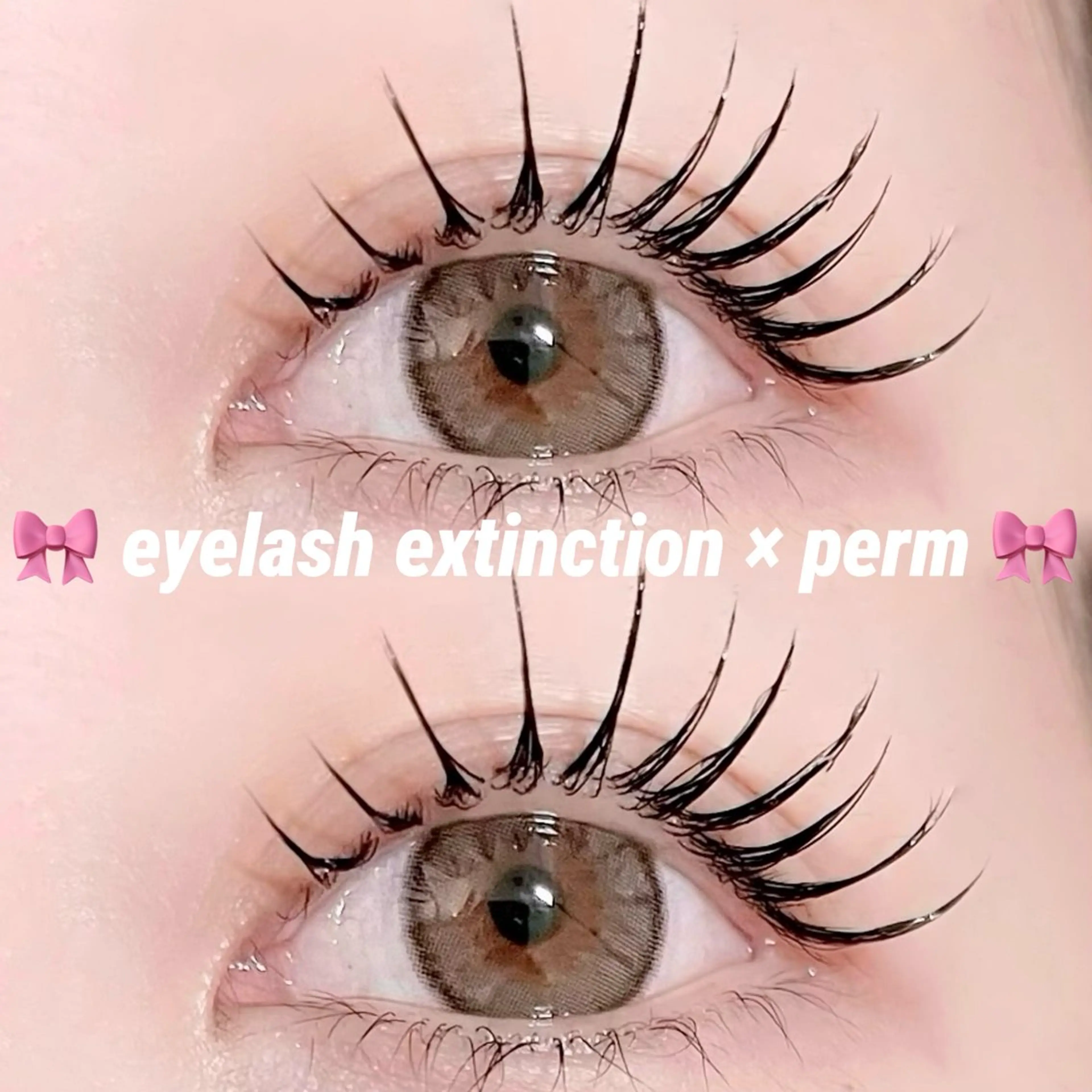 🎀パリエクorエクパ60本×まつ毛パーマ+コーティング付き🎀の写真