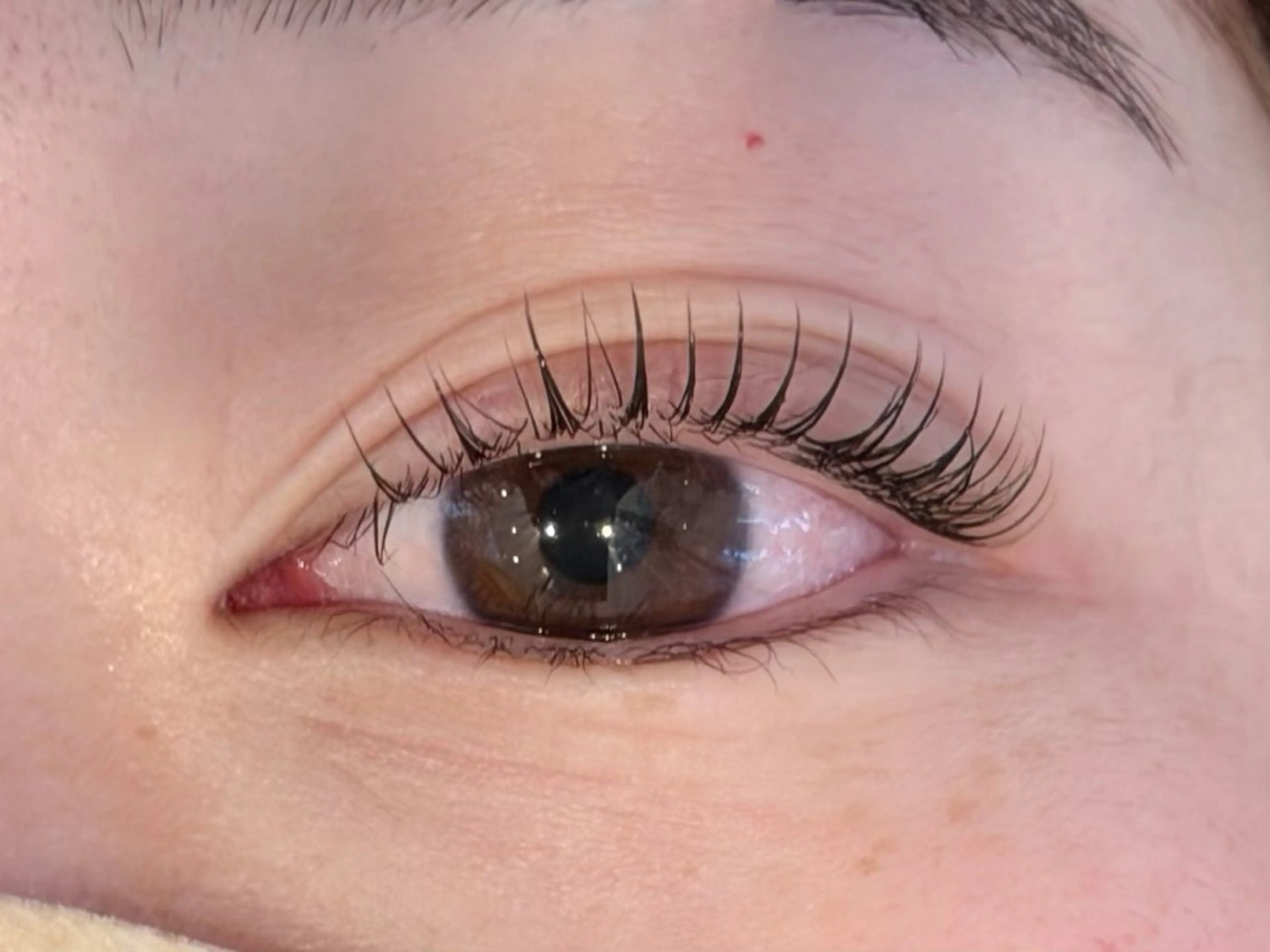 マツエク・マツパ tiara茶屋町店所属・みく/ tiara茶屋町店のマツエク・マツパデザイン