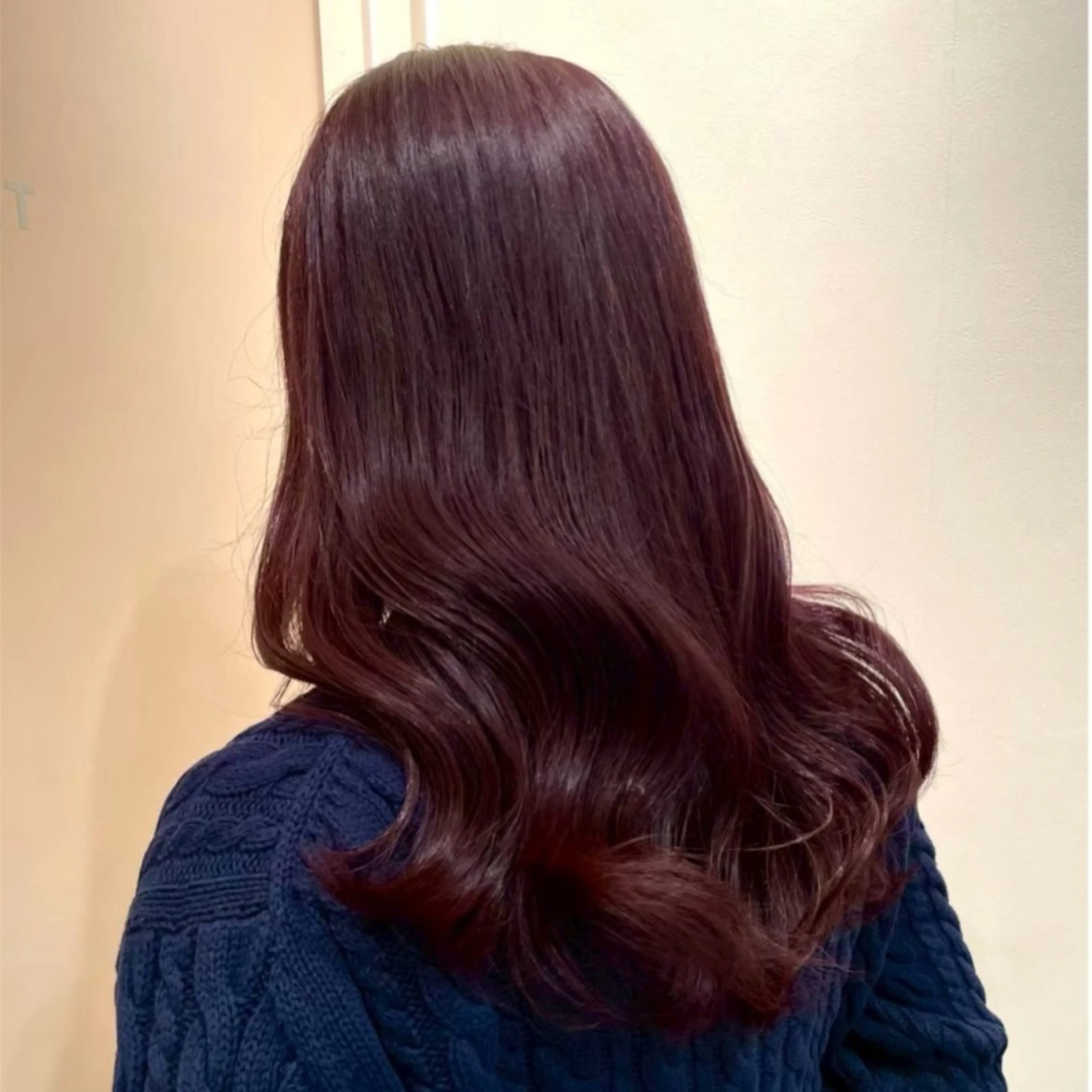 ワンカラーの写真