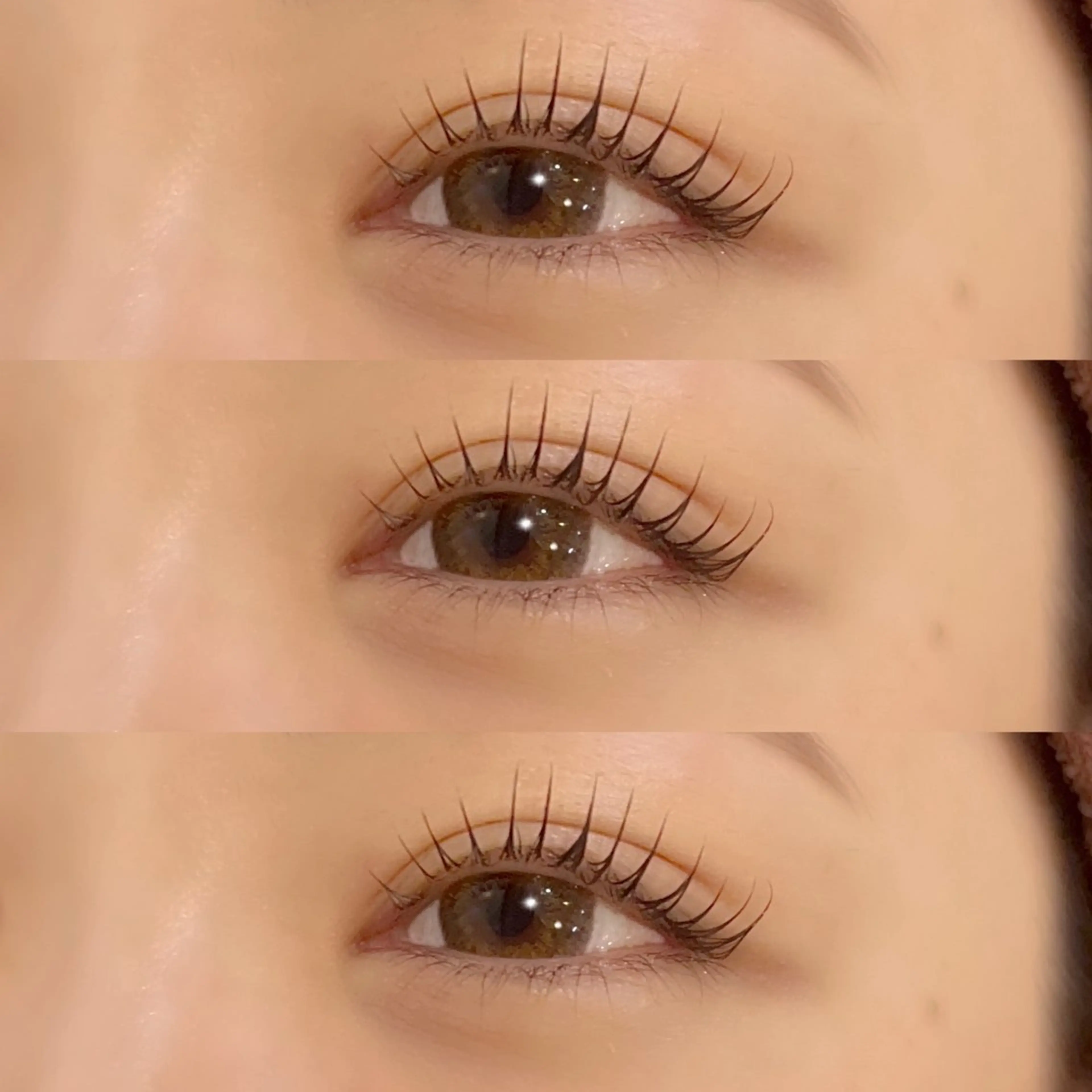 【2回目限定🤍】まつげパーマ美容液コーティング付き✨の写真