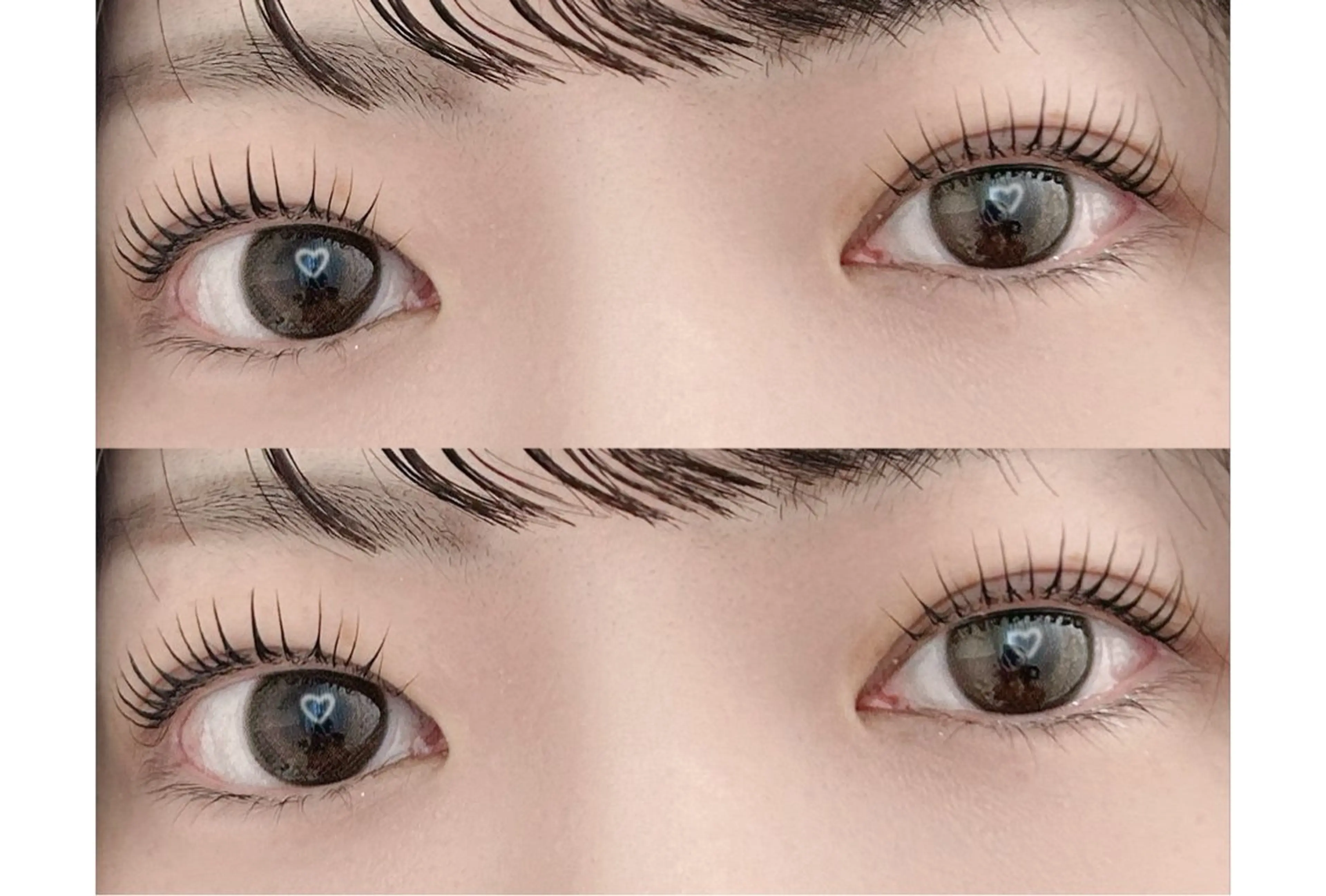 【新規】パリジェンヌラッシュリフト+美容液コーティングの写真