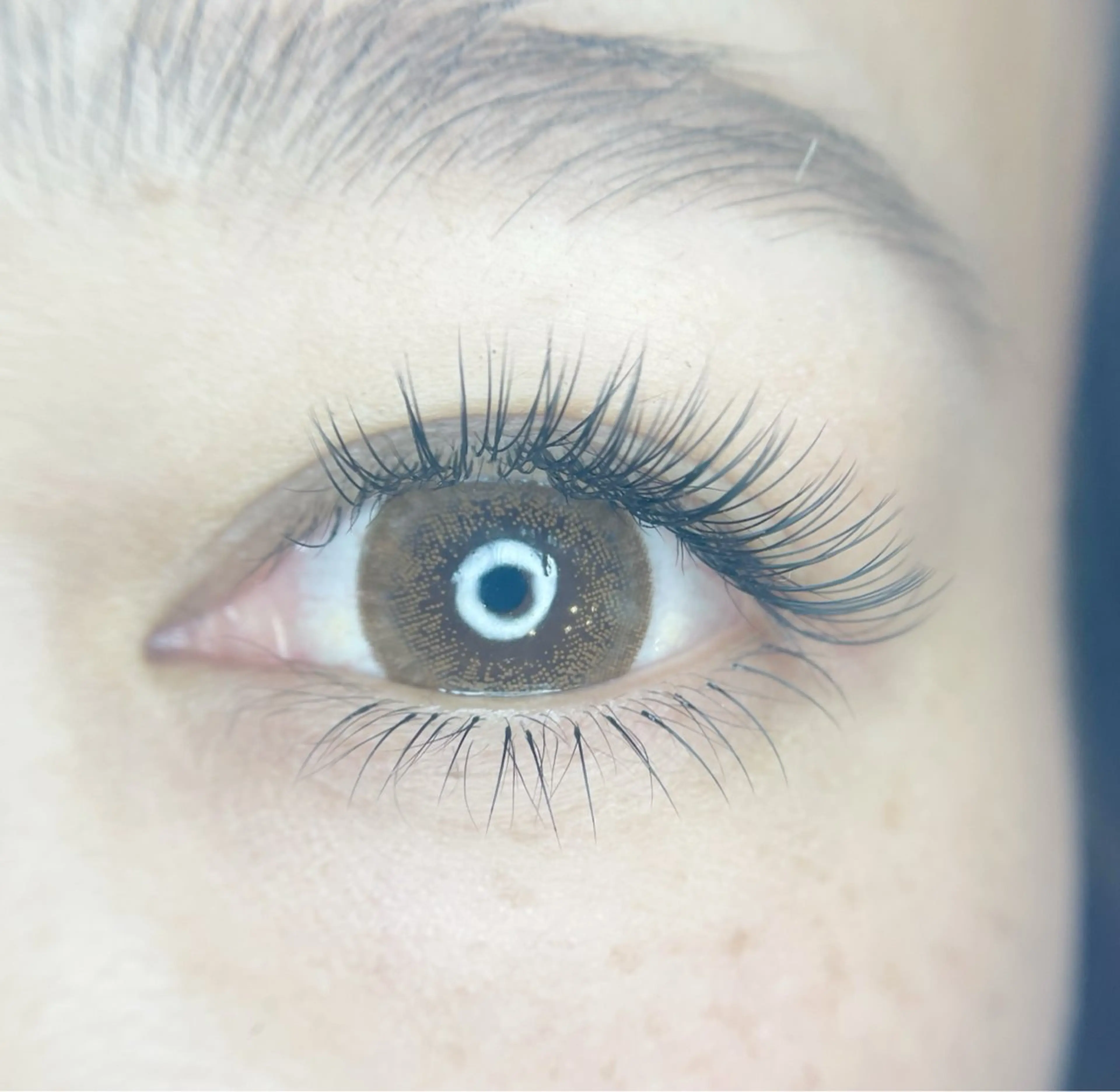 【初めての方】まつげエクステ付け放題＋LEDグルーの写真